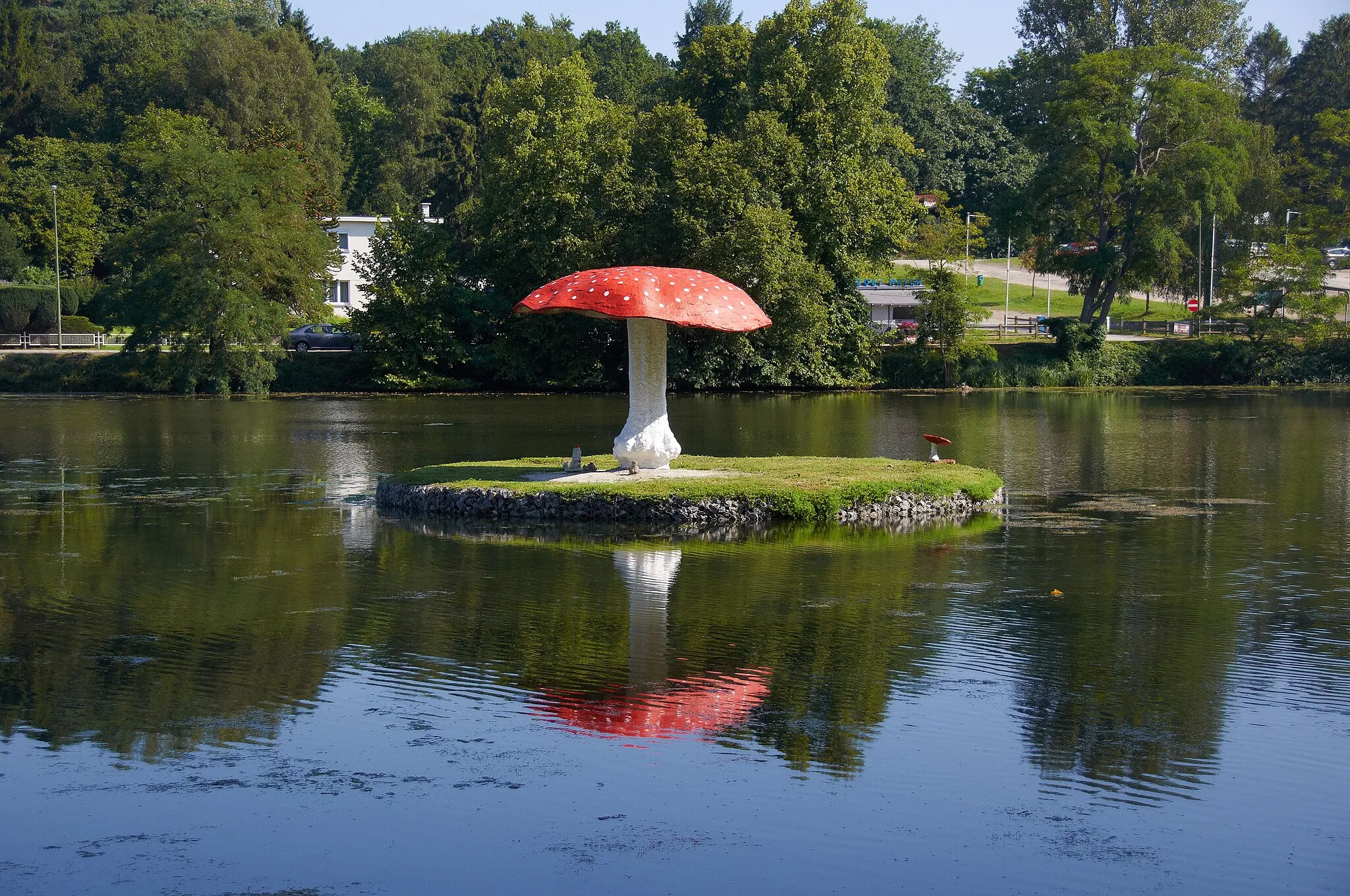 Photo showing: Paddenstoel in Zoet-Water in Oud-Heverlee, België