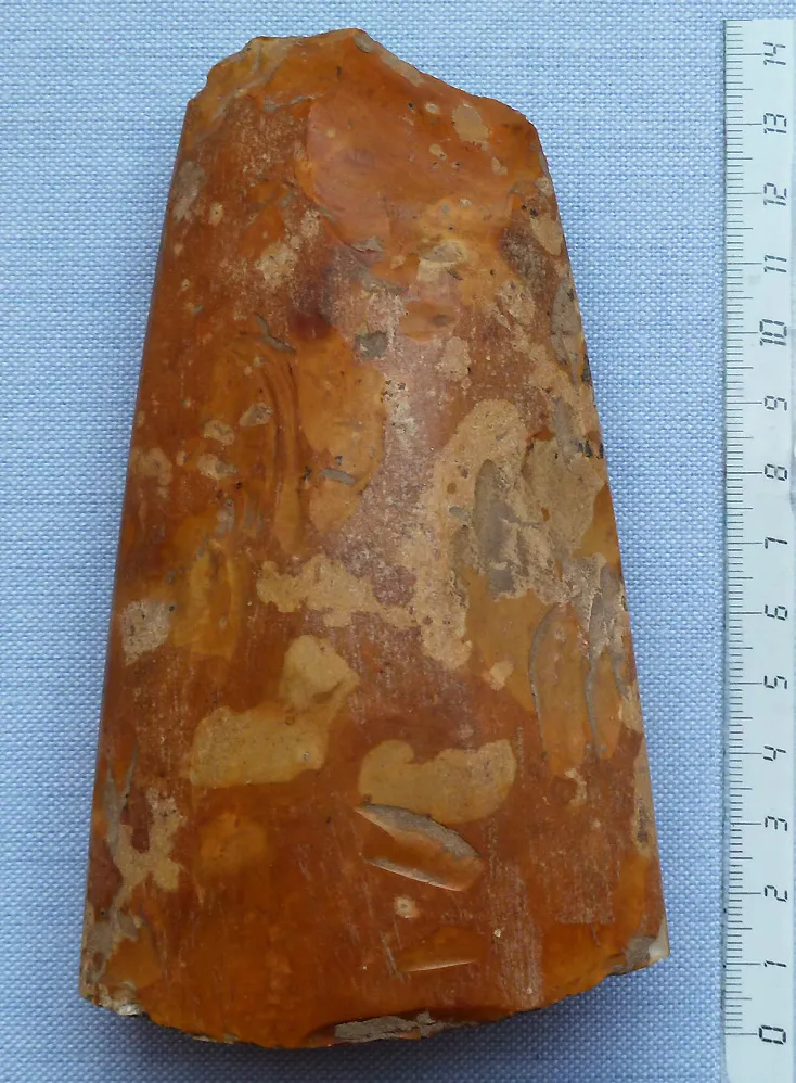 Photo showing: Prehistoric flint axe (back fragment in Wommersom quartzite) used to harvest timber, orig. attached to wooden handle.