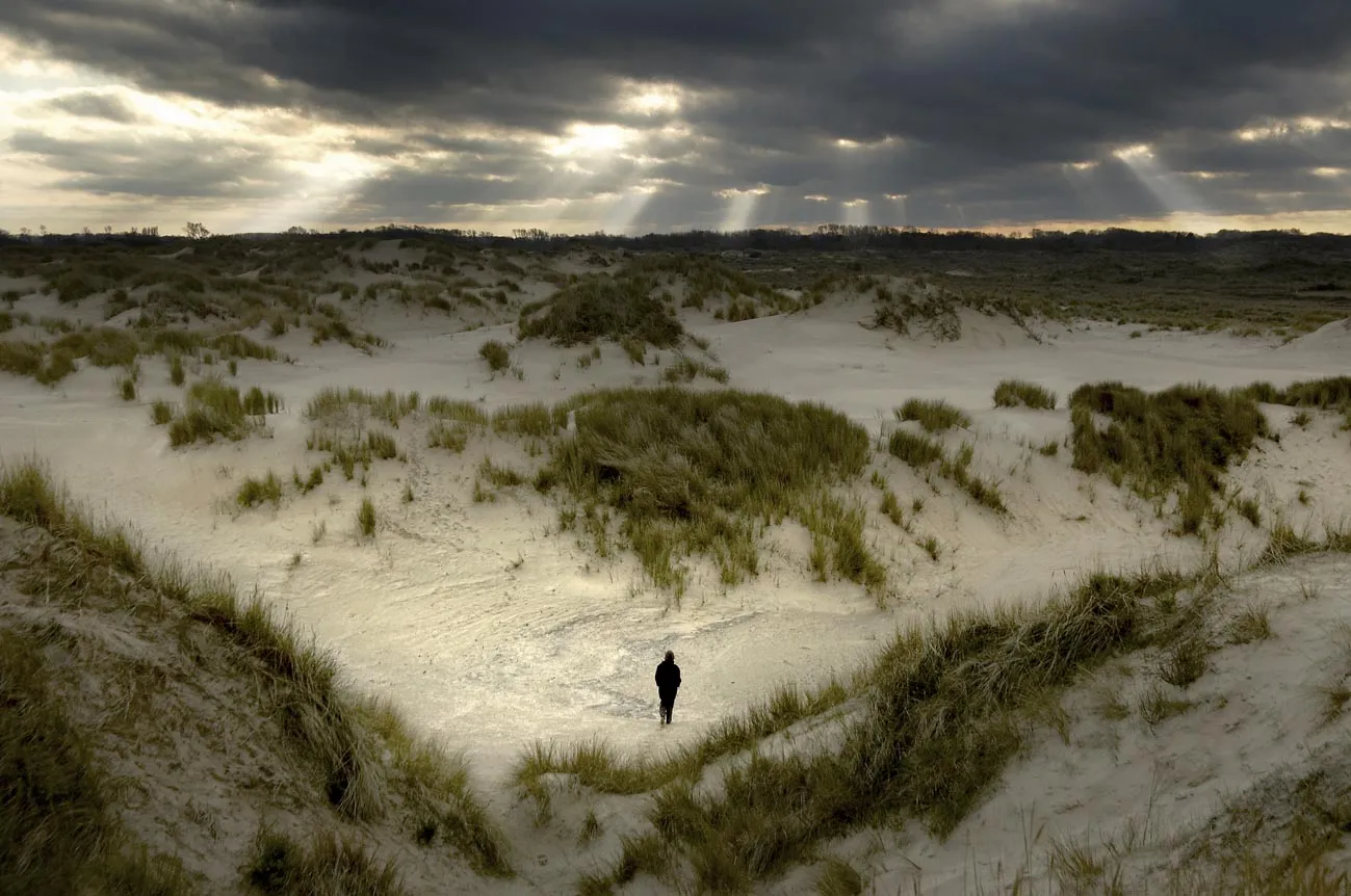 Photo showing: De Panne, het Westhoek natuurreservaat bij valavond.