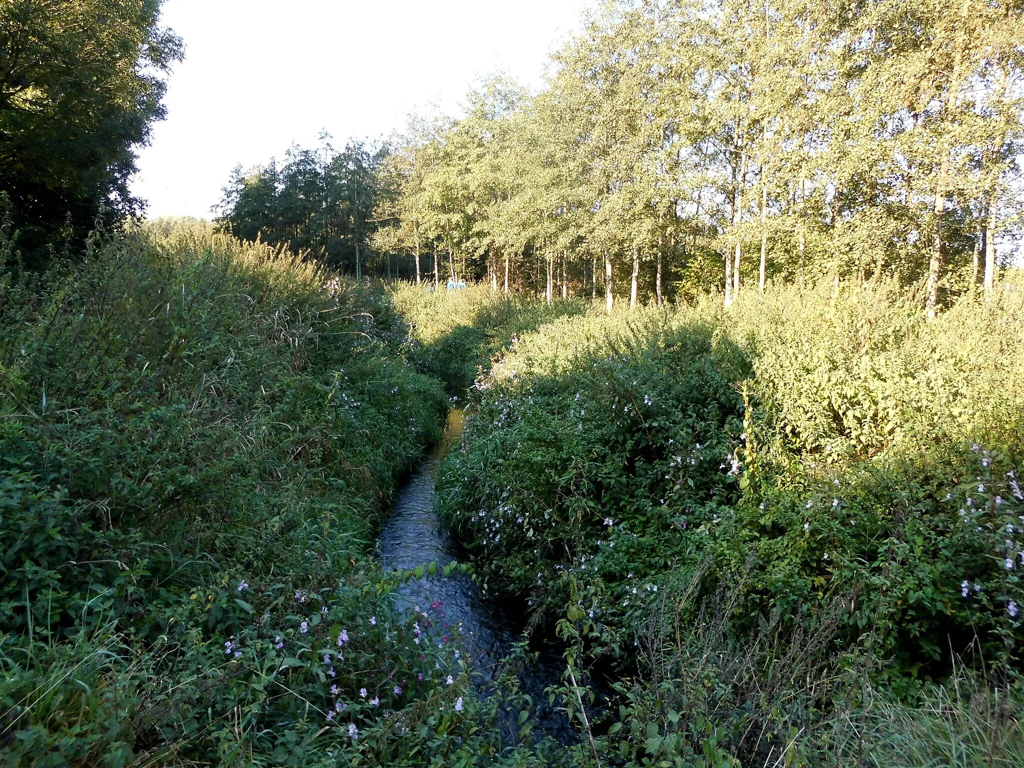 Photo showing: De Rhodesbeek in het Rhodesgoed - Rhodesstraat - Kachtem - Izegem - West-Vlaanderen - België.