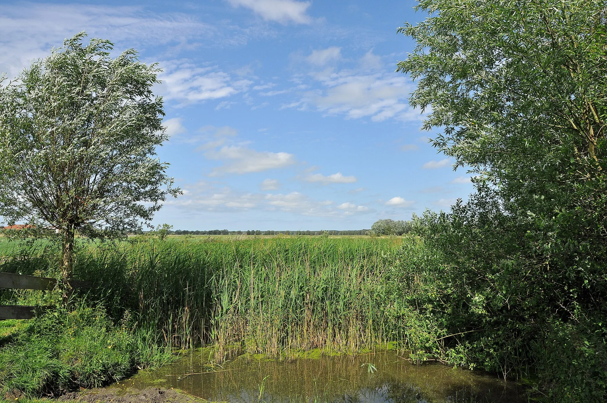 Photo showing: Koolkerke (municipality of Bruges, Belgium): landscape near the 'Fort van Beieren'