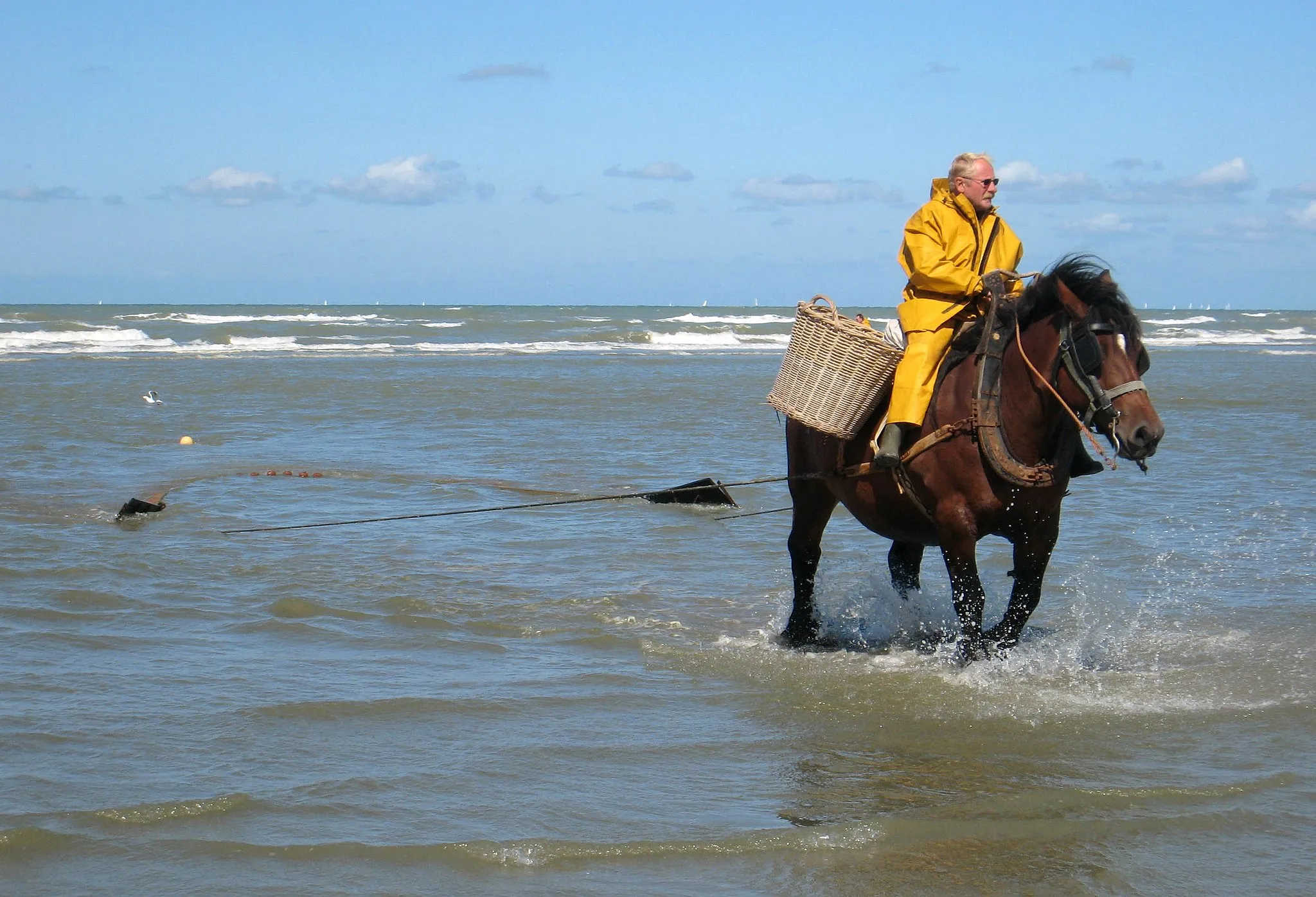 Photo showing: Shrimp-fisherman on horseback, Oostduinkerke