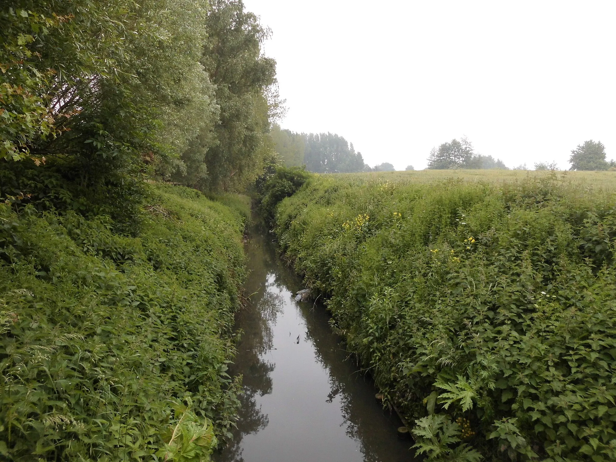 Photo showing: De Paal- of Palingbeek - nabij de Menenstraat (Lauwe) en de Pont Neufstraat (Rekkem) - Menen - West-Vlaanderen - België