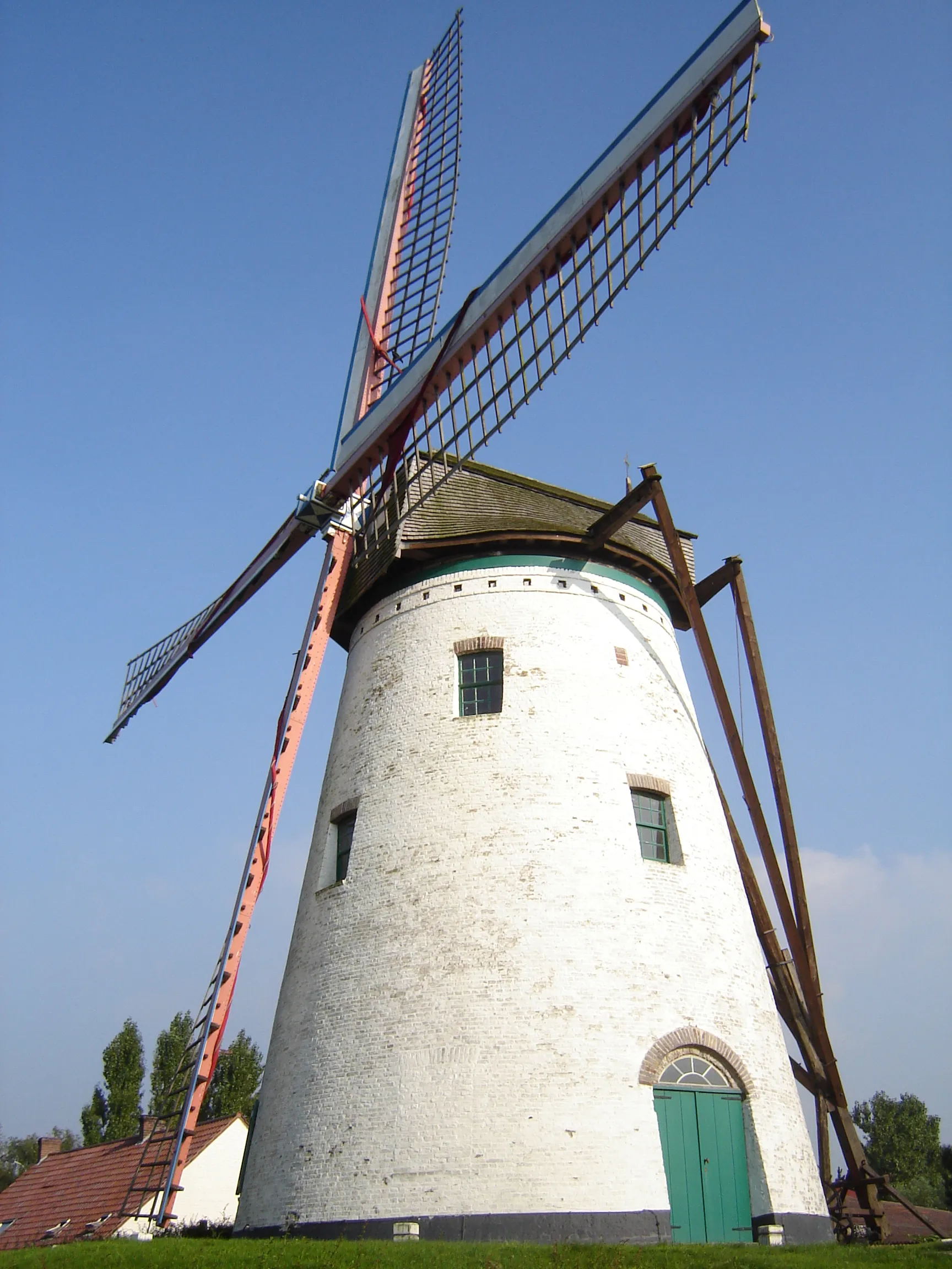 Photo showing: "Witte Molen" windmill (litt. "White Mill") in Roksem. Roksem, Oudenburg, West Flanders, Belgium