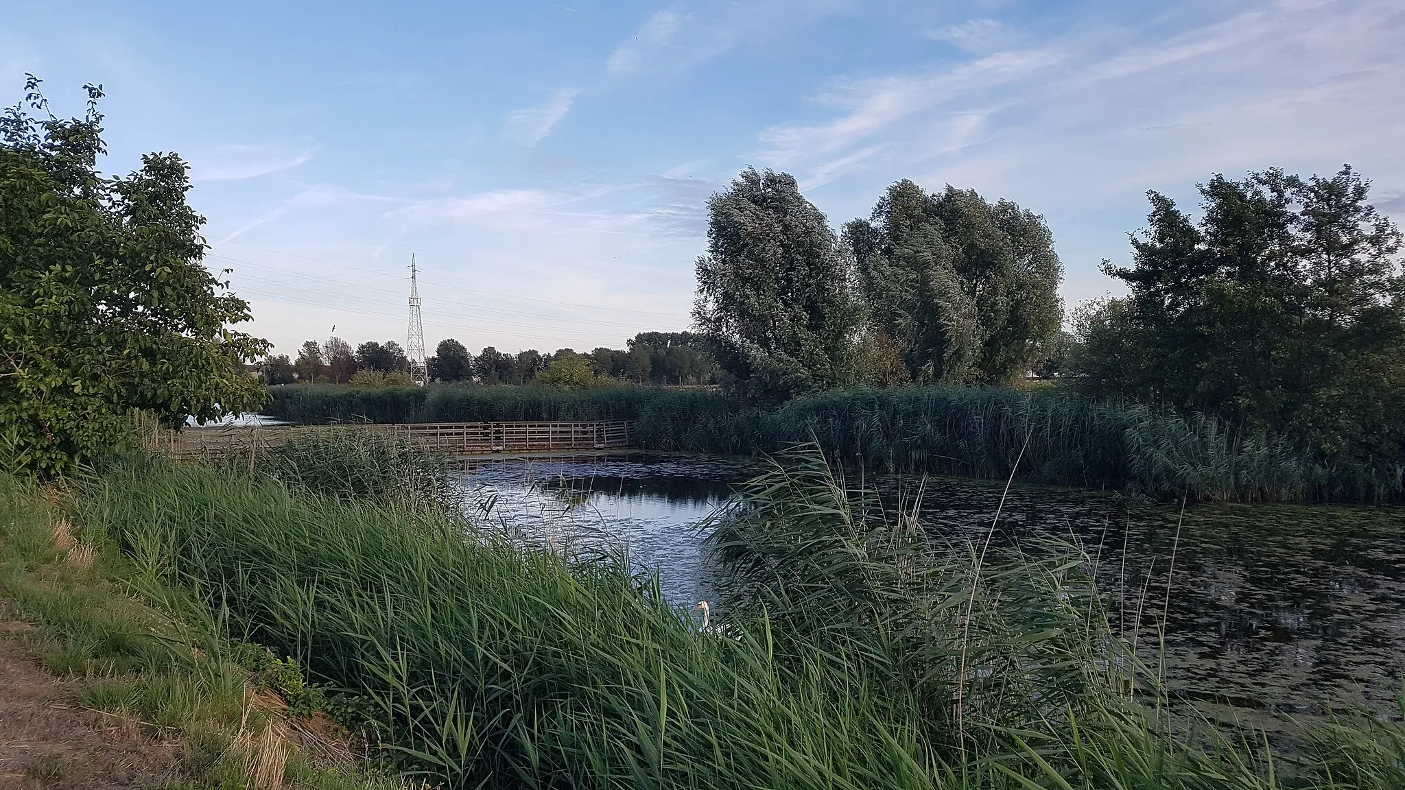 Photo showing: De Oude Leiearm in Sint - Baafs - Vijve waarin jaarlijks de Hondenzwemming plaatsvindt.