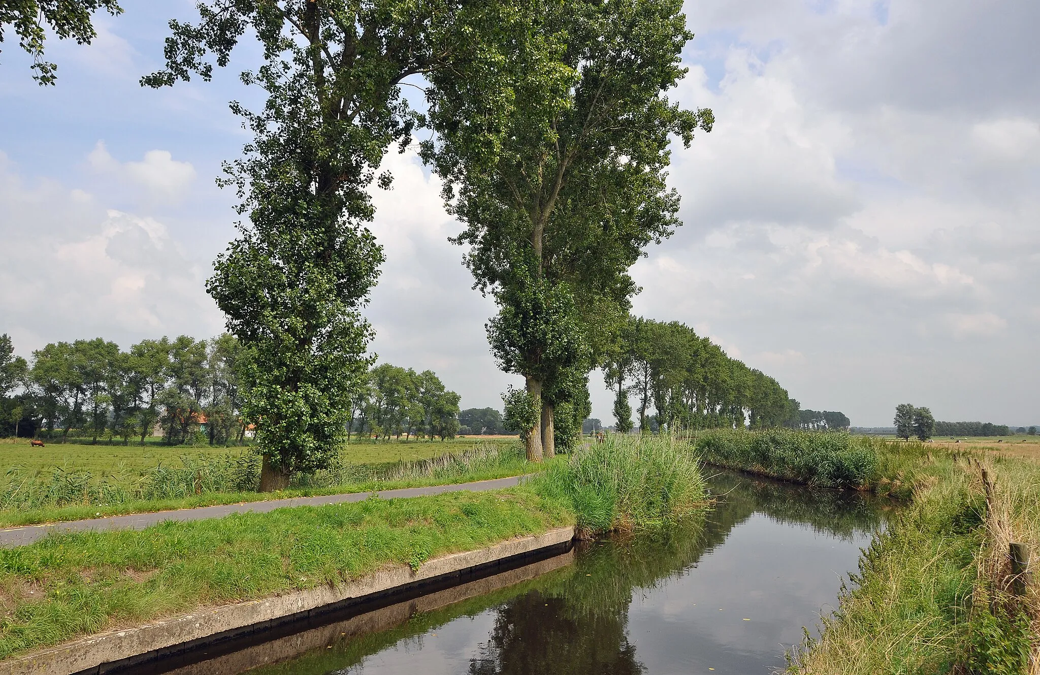 Image de Prov. West-Vlaanderen