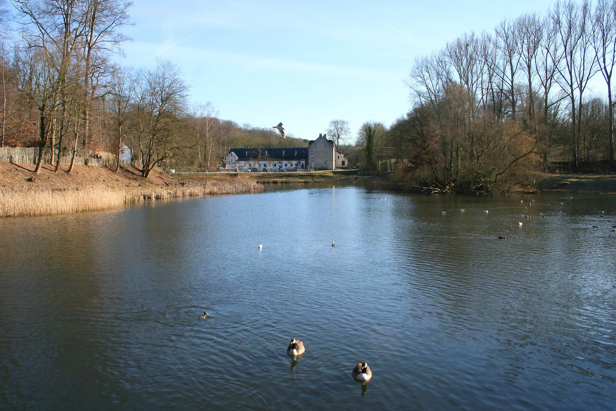 Photo showing: Auderghem (Belgium), the pond "Étang Long" and the buildings of the Rouge-Cloître (Red Cloister) Abbey founded in the XIVth century by the hermit Egide Olivier and the canon Guillaume Daniels.