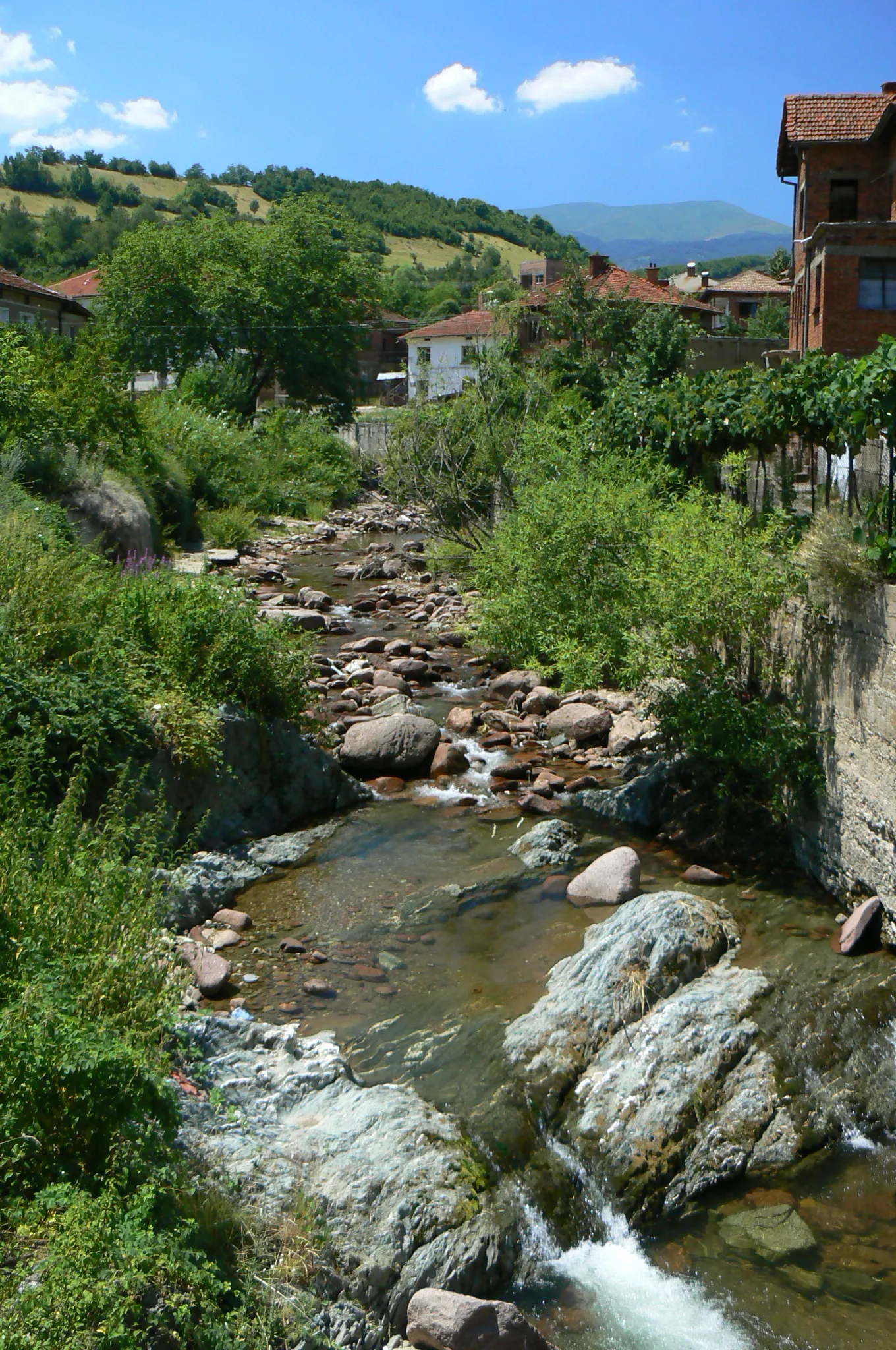 Image of Chiprovtsi