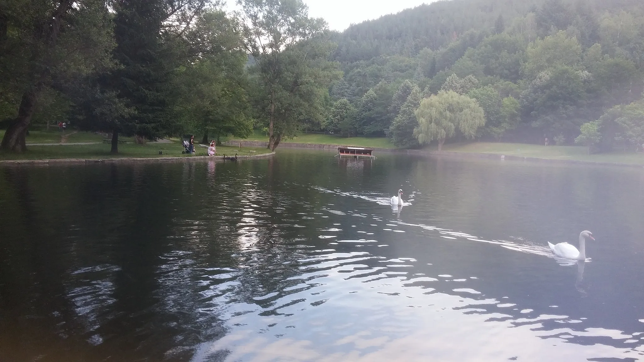 Photo showing: View from Bachinovo's artificial lake.