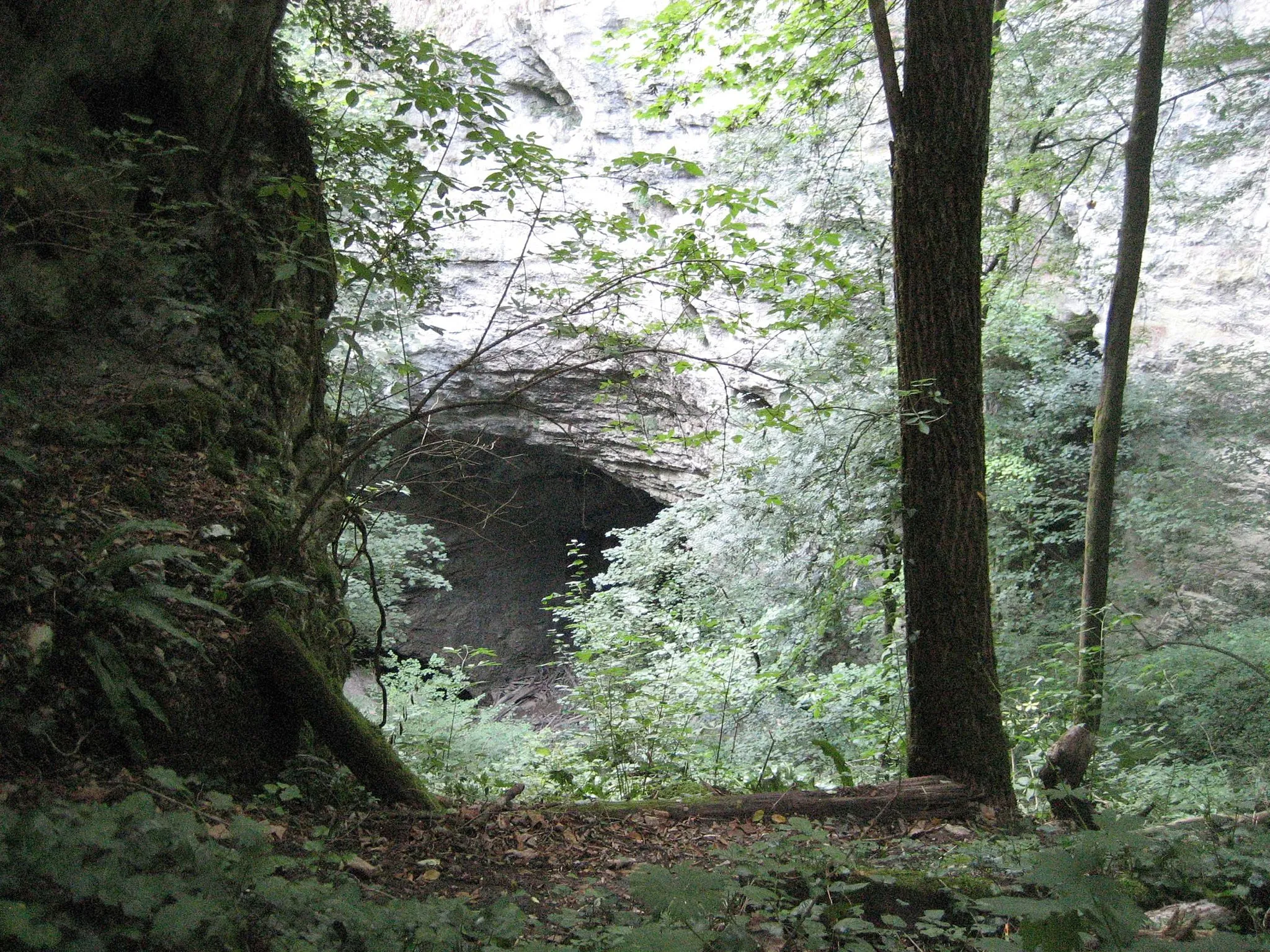 Photo showing: Abyss of Pazin,Northwest Croatia