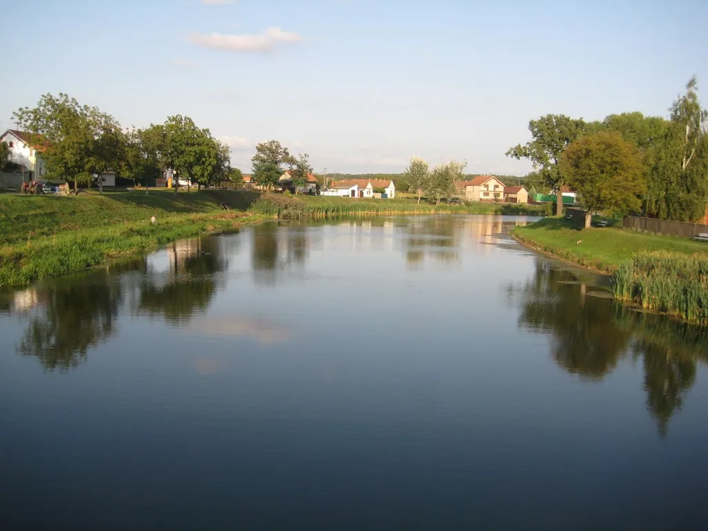 Photo showing: River Bosut between Rokovci and Andrijaševci.