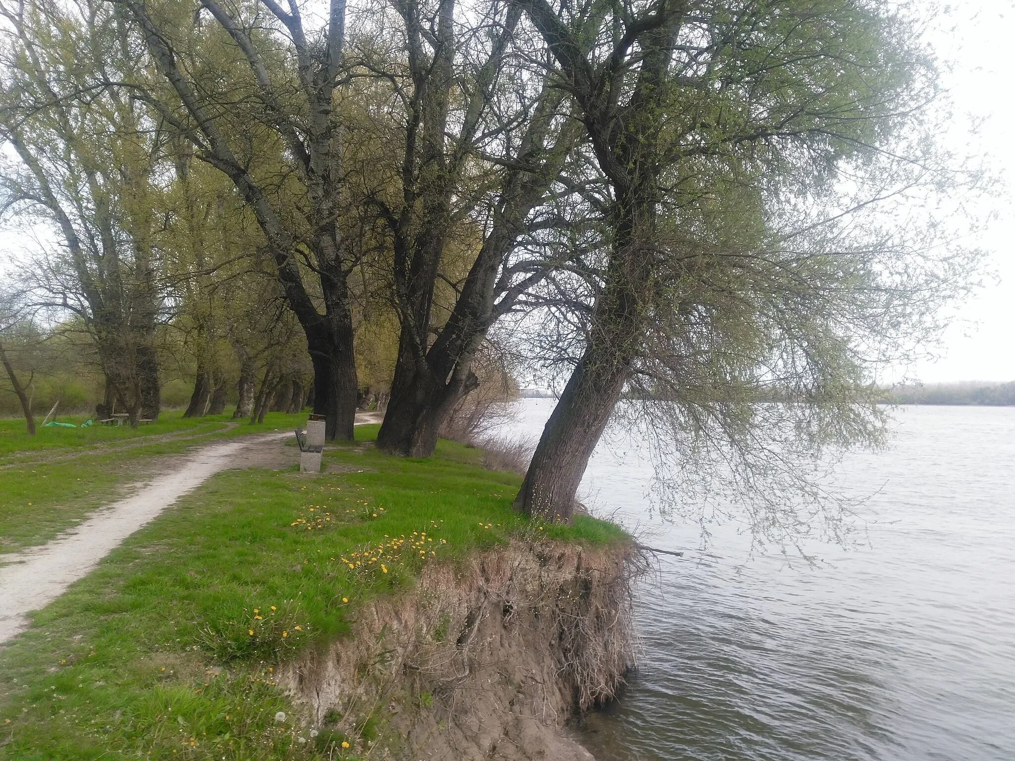 Photo showing: Danube
