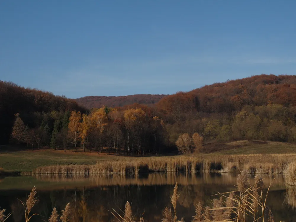 Photo showing: Ljeskove vode u općini Bukovlje, kraj Slavonskog Broda.