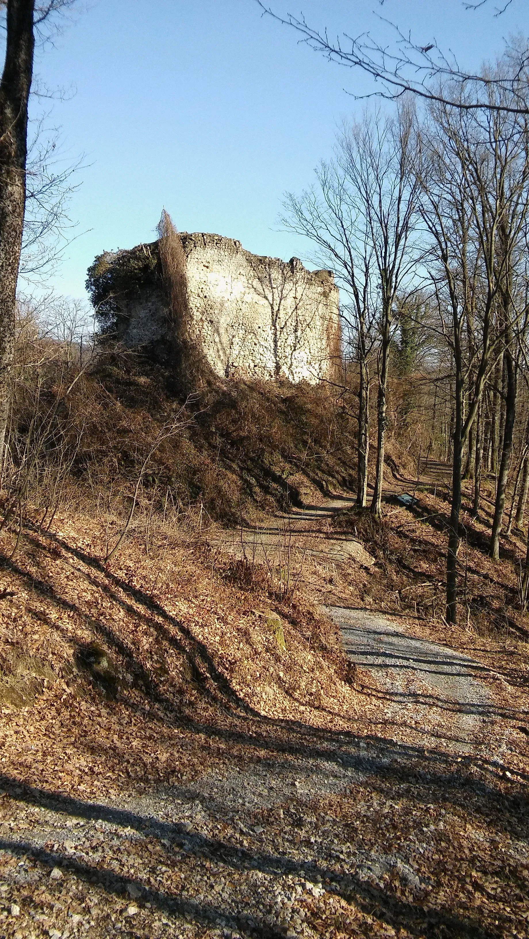 Photo showing: Burg Jelengrad
