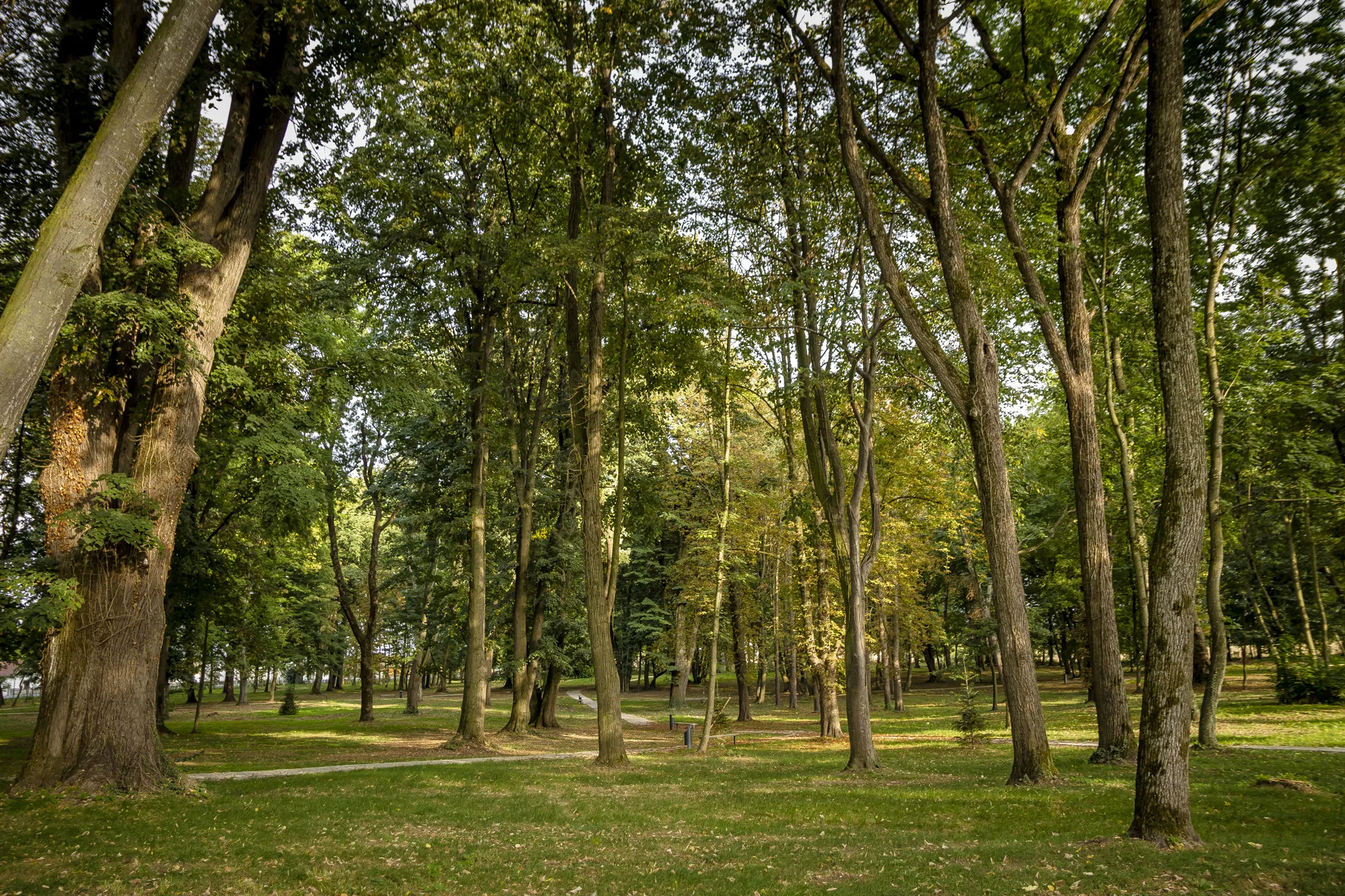 Photo showing: Park Suhopolje