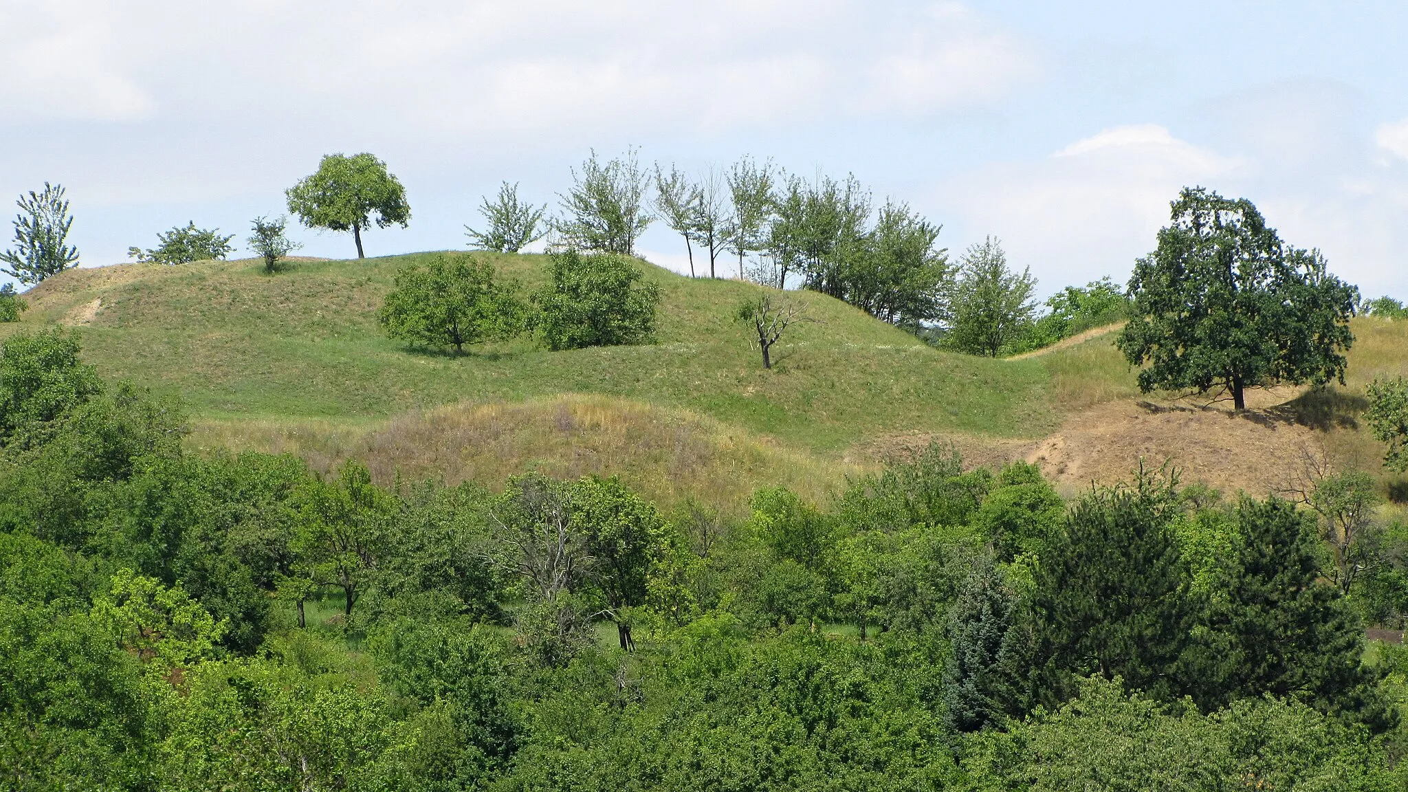 Photo showing: Přírodní památka Bohuslavické stráně