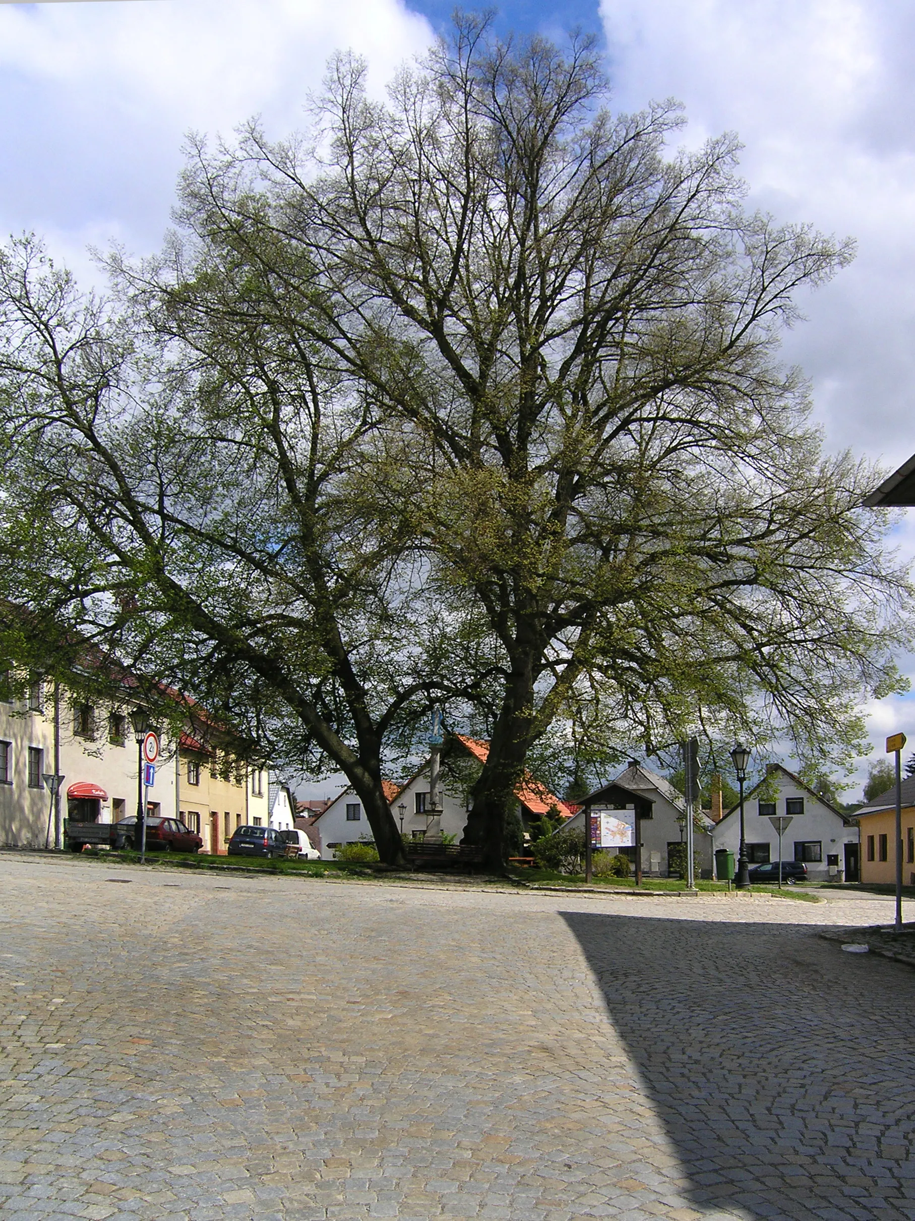 Photo showing: Mariánské square in Počátky, Czech Republic