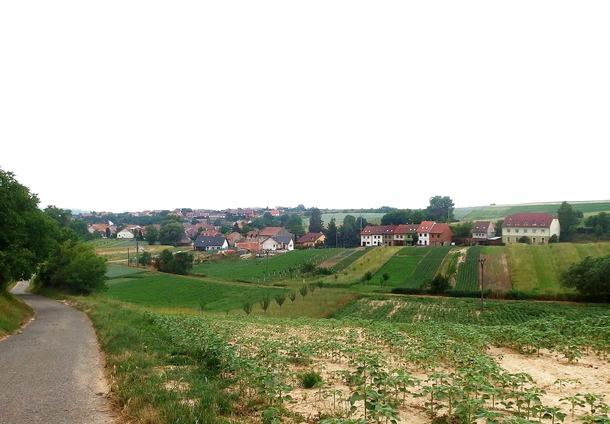 Photo showing: Šardice, Hodonín District, Czech Republic.