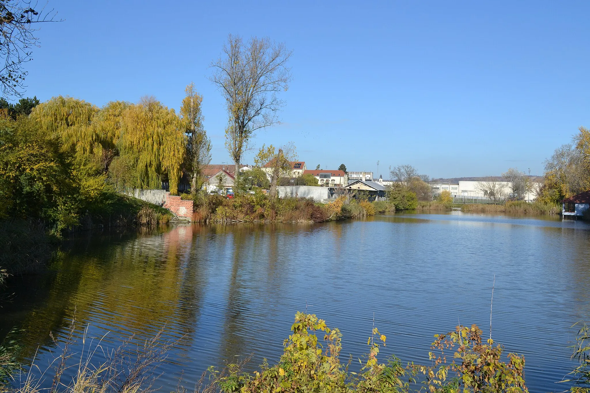 Photo showing: Velké Pavlovice - Zámecký rybník
