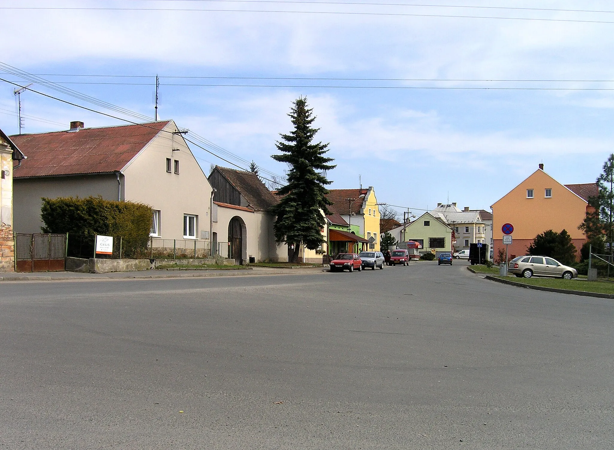 Photo showing: Common in Horní Bříza, Czech Republic