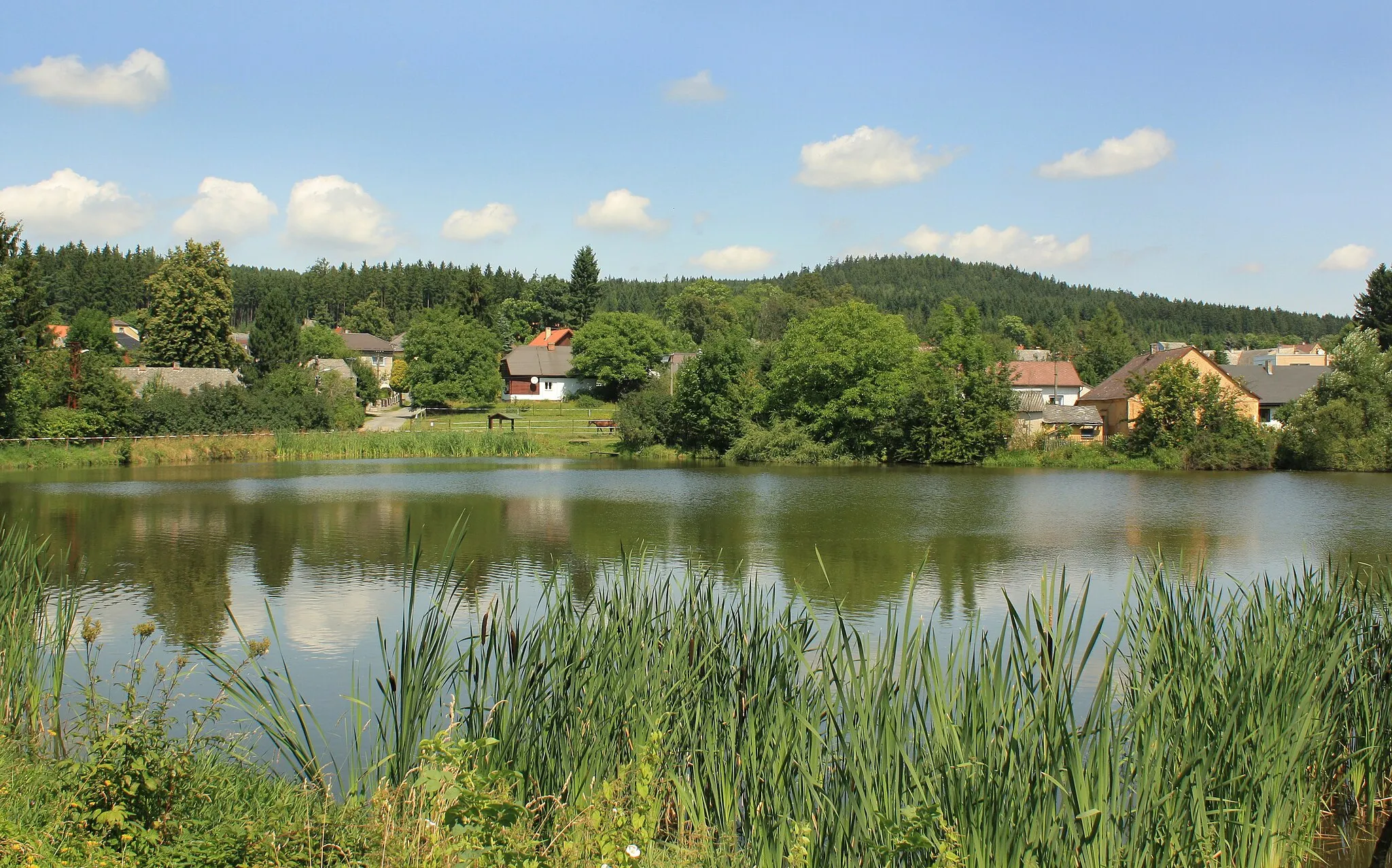 Photo showing: Dvorský Pond in Strašice, Czech Republic