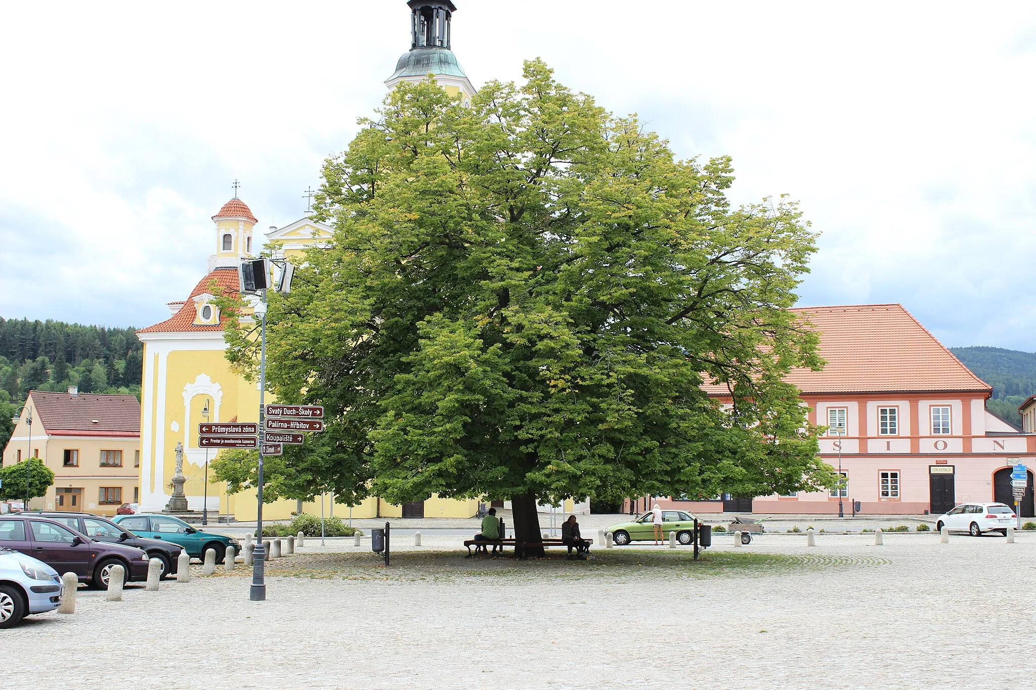Photo showing: Vzrostlý strom na náměstí Svobody ve Vlachově Březí.