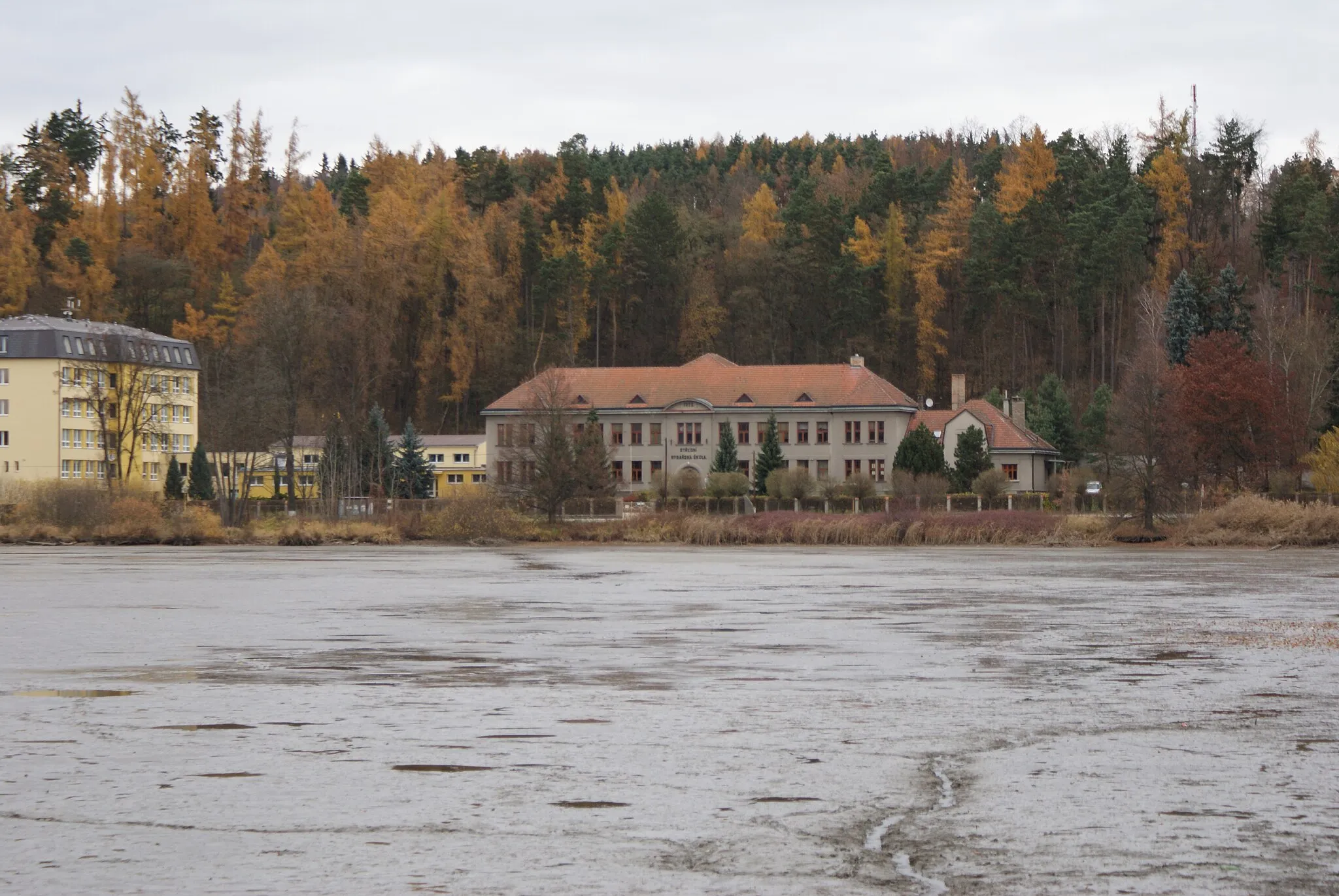 Photo showing: Vodňany a town in Strakonice district, Czech Rep., the Fishery college seen from the direction of the town.