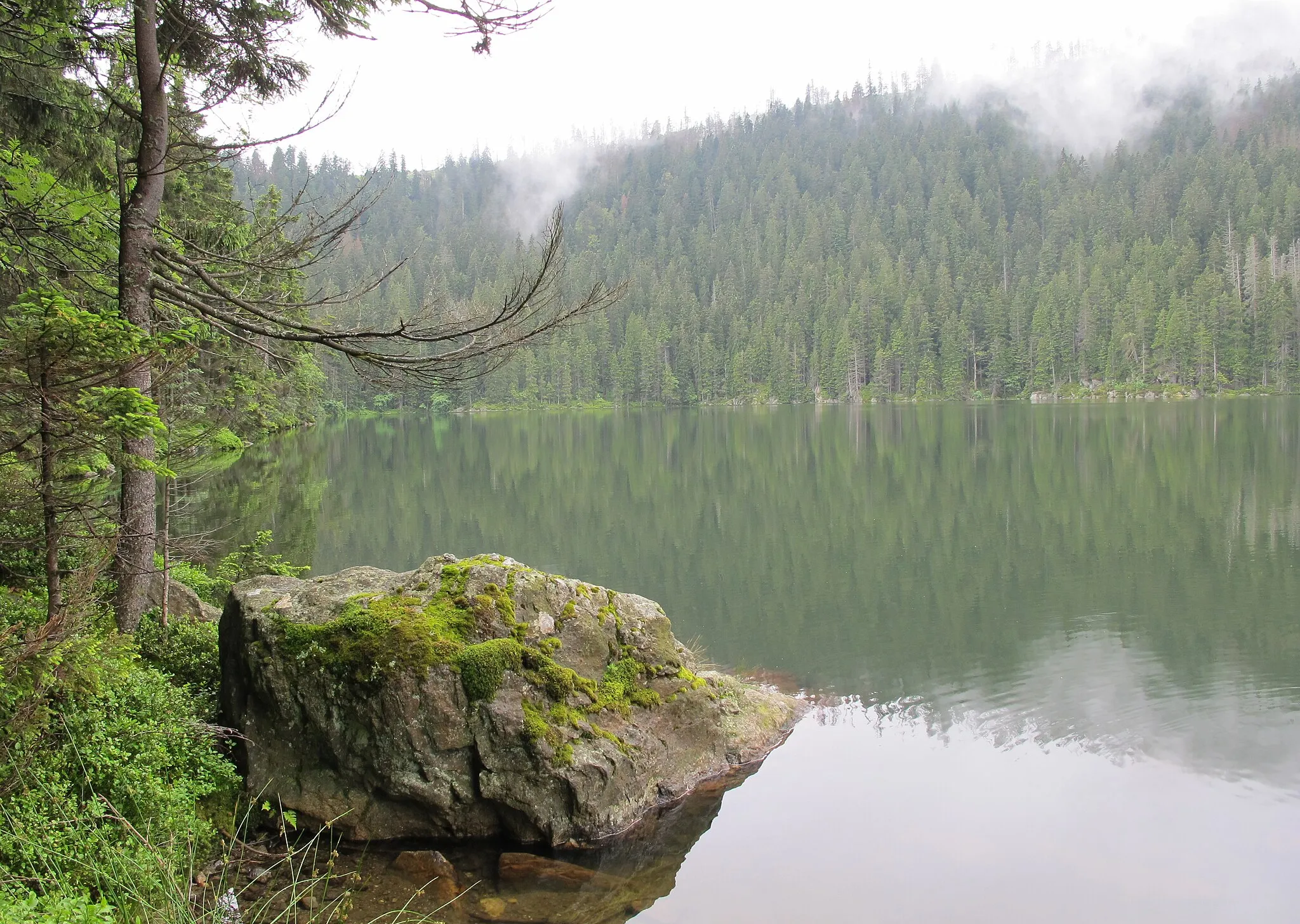 Photo showing: Lake "Čertovo jezero" - in national nature reserve Černé a Čertovo jezero near Železná Ruda in Klatovy District