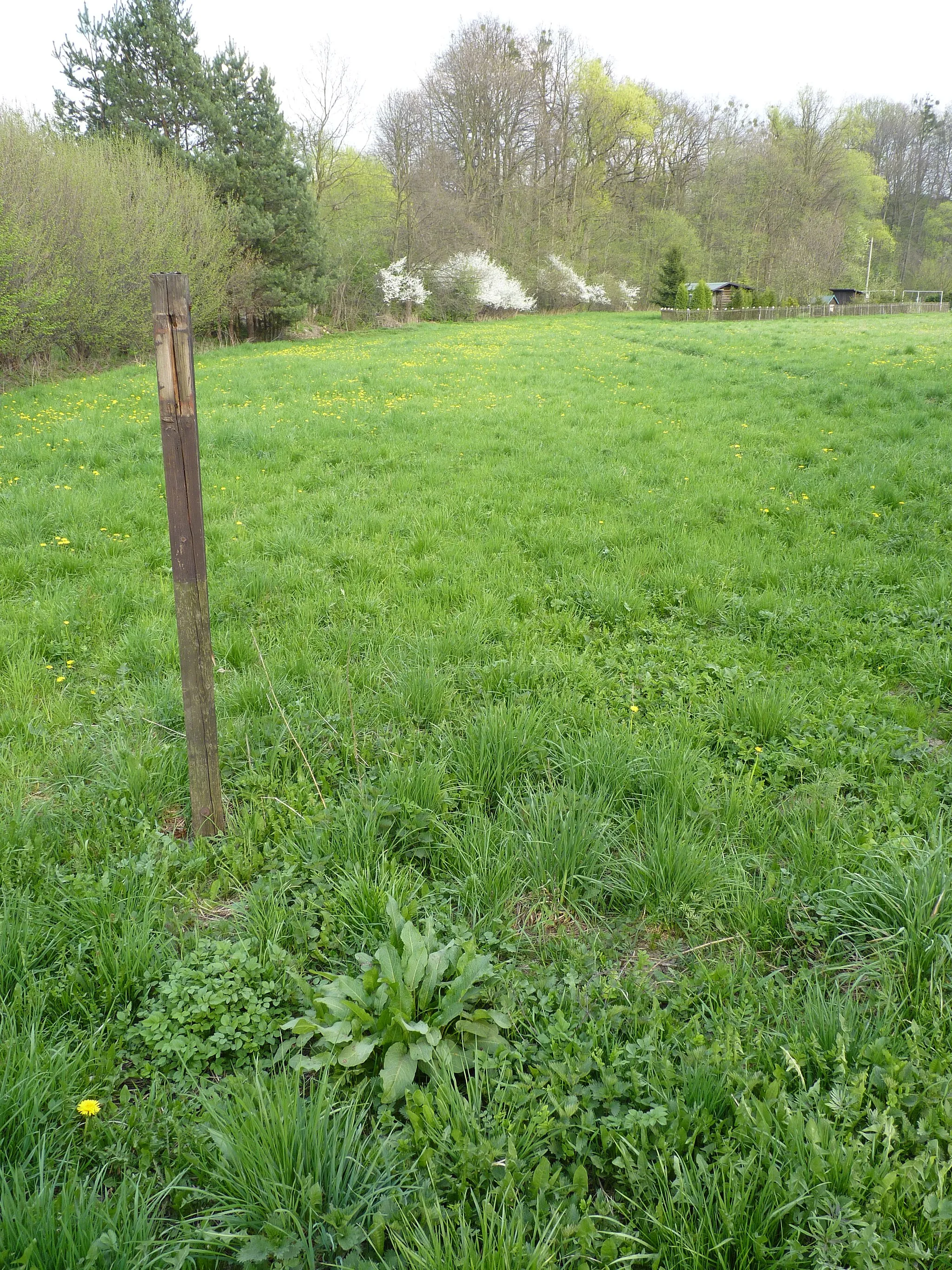 Photo showing: Natural monument Stará řeka. Horní Bludovice, Karviná District, Moravian-Silesian Region, Czech Republic