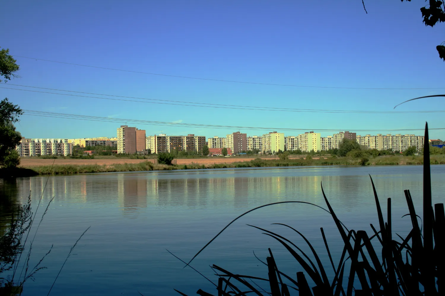 Photo showing: Pond Martiňák near Černý Most, Prague, Czech Republic