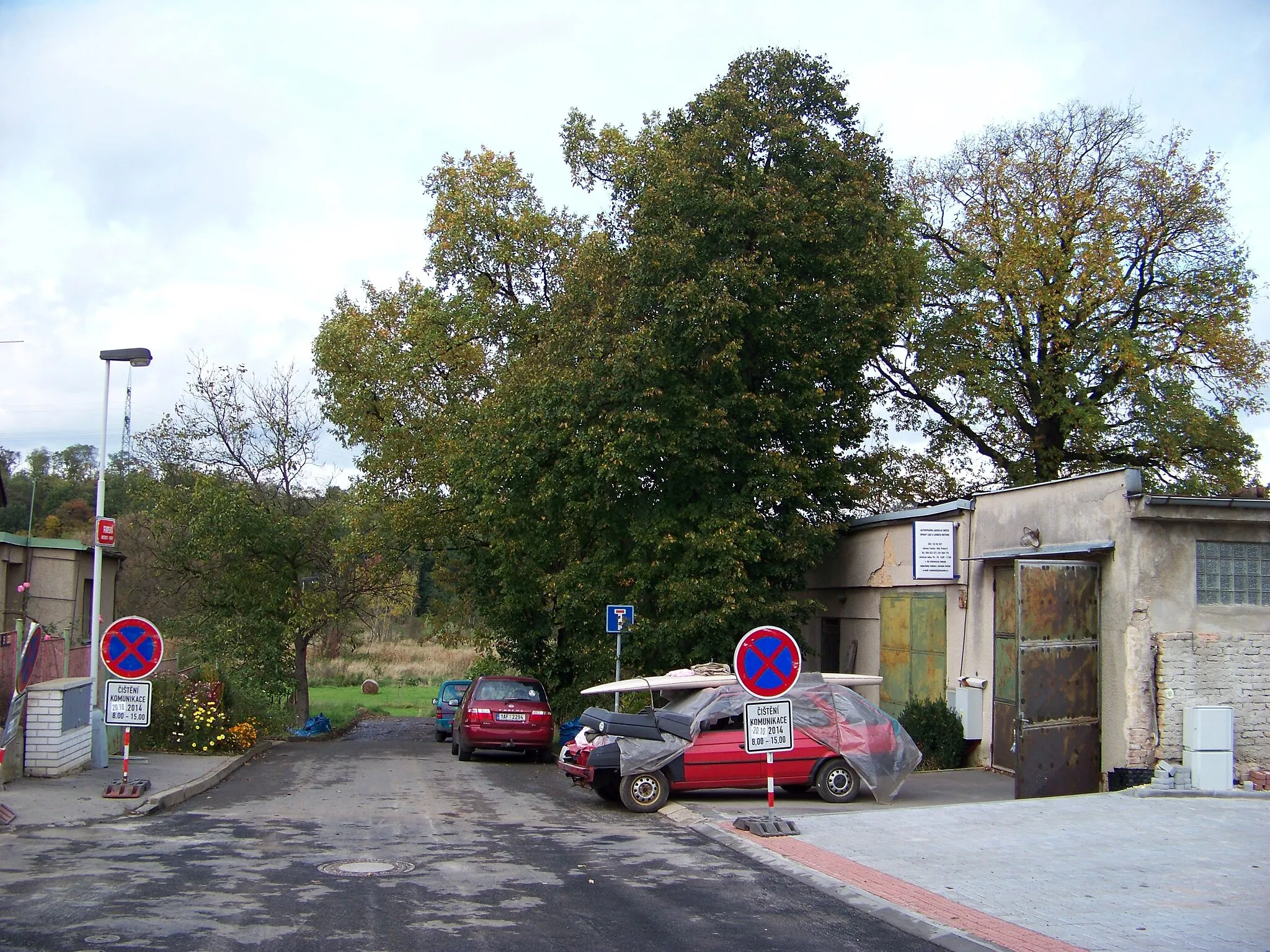 Photo showing: Prague-Hostavice, Czech Republic. Farská street, memorable oaks.