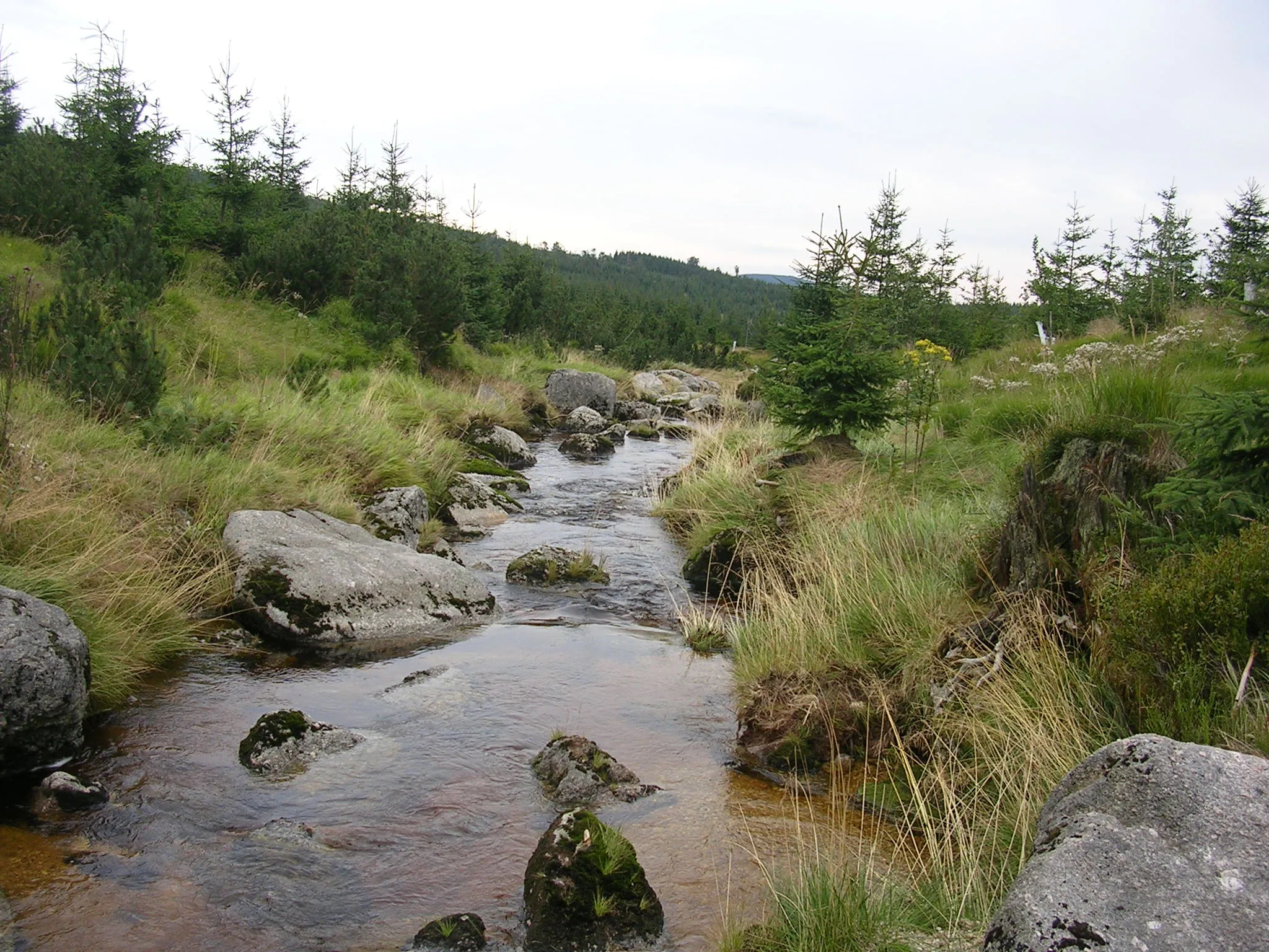 Photo showing: Bílá Desná River, Jizera Mountains. A borderline of municipalites Hejnice and Albrechtice v Jizerských horách.