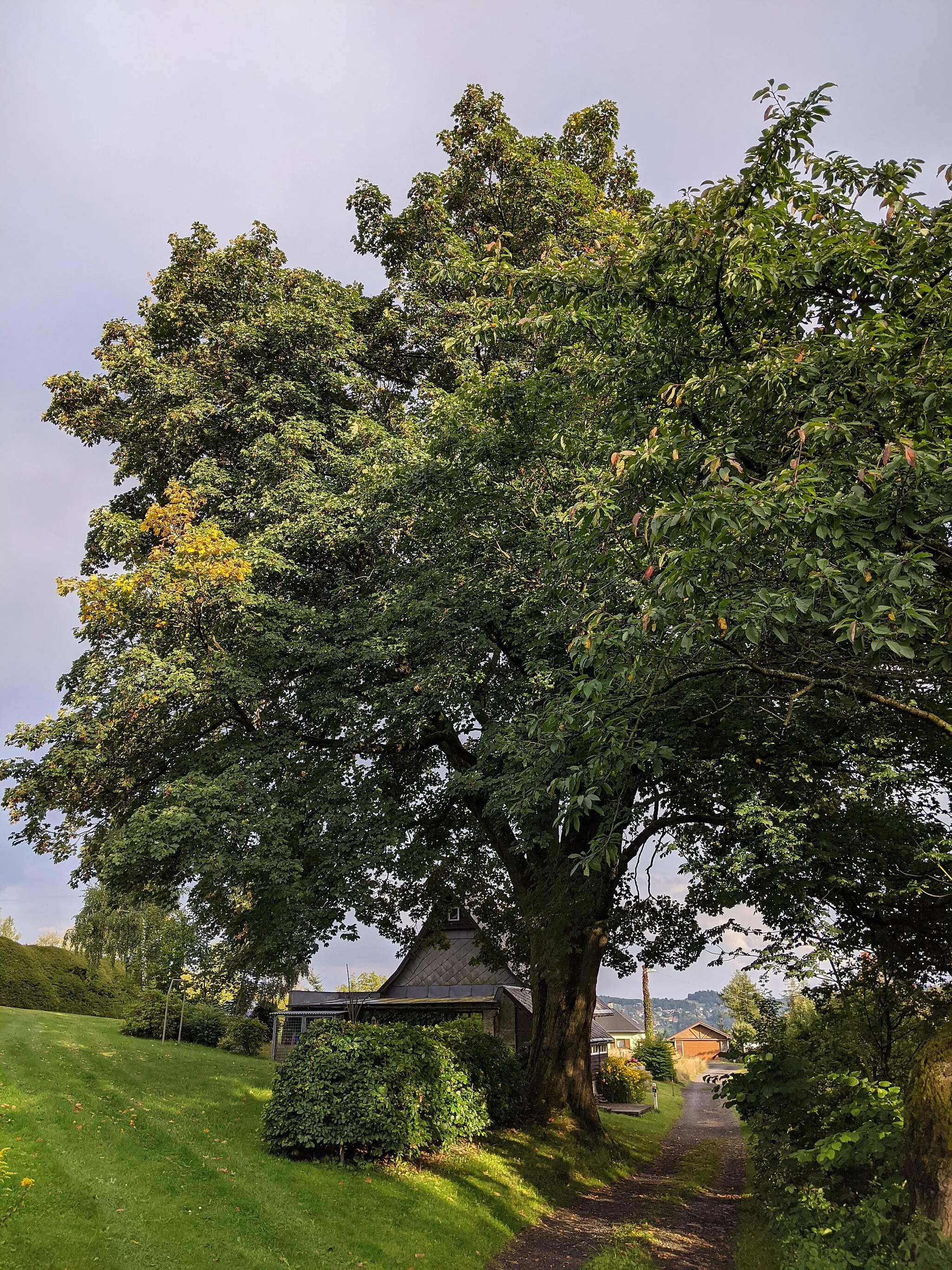 Image of Severovýchod