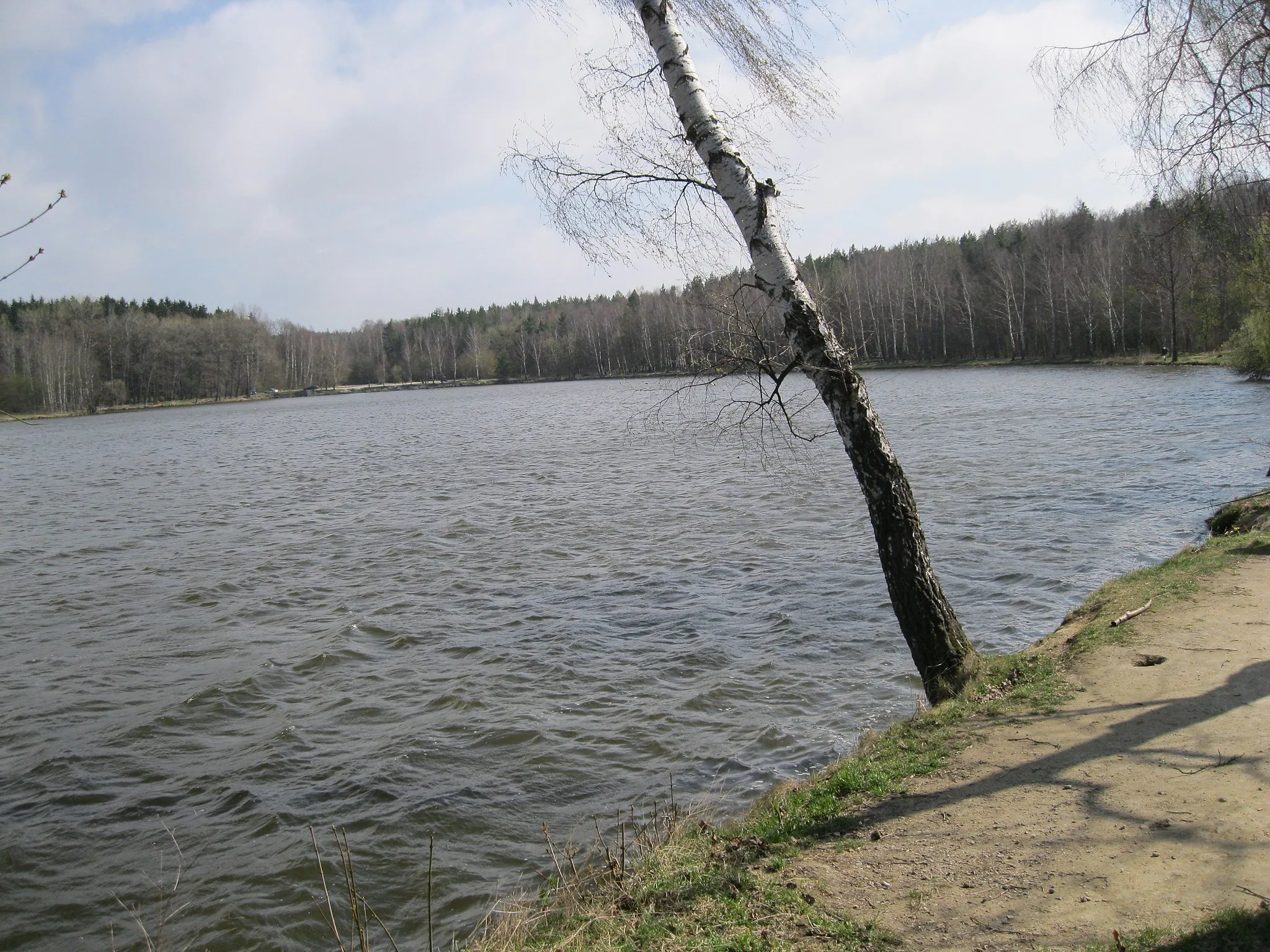 Photo showing: Hráz nedalekého Turyňského rybníka
