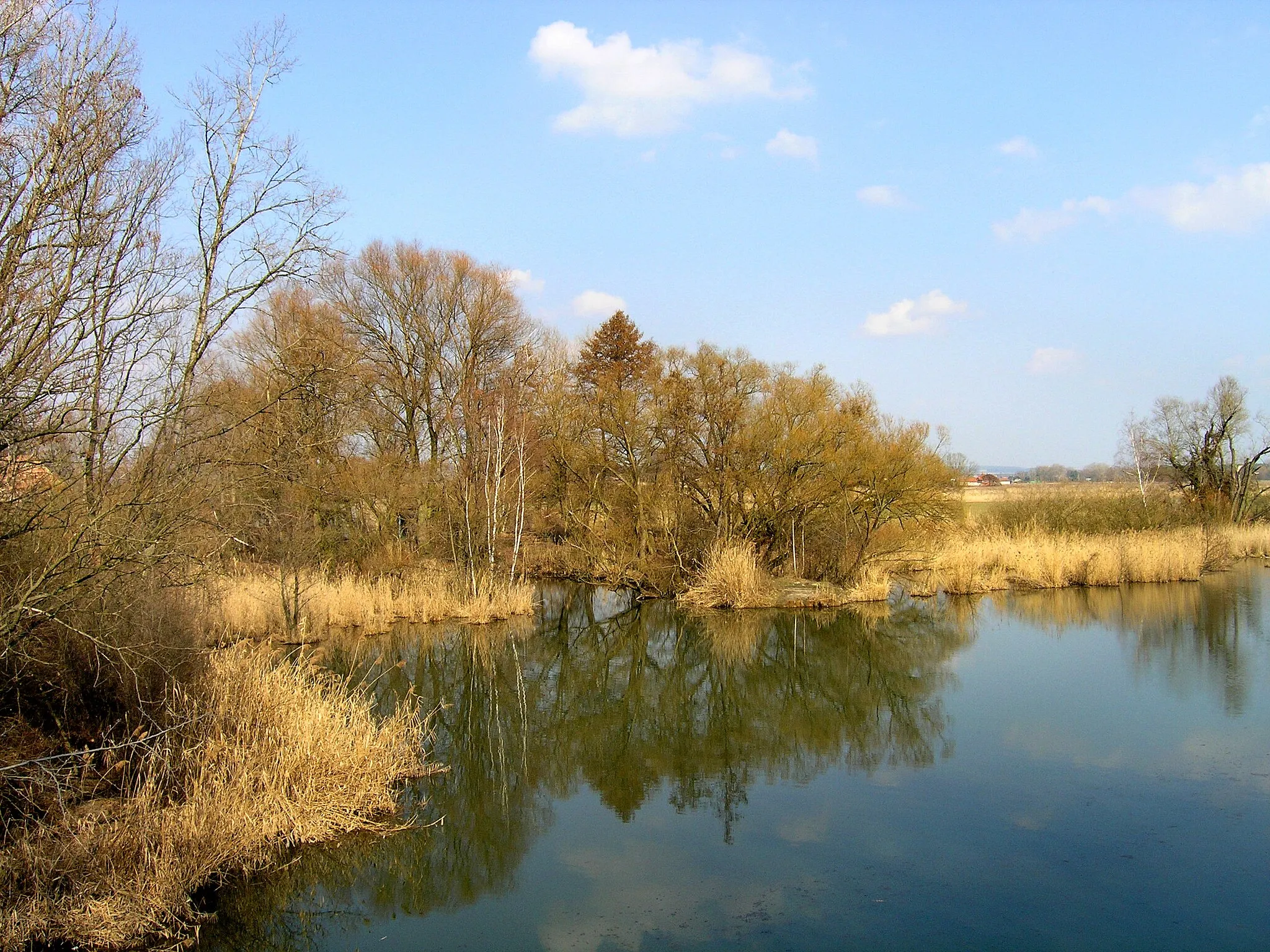 Photo showing: Labe River cutoff by Kostelec nad Labem, Czech Republic