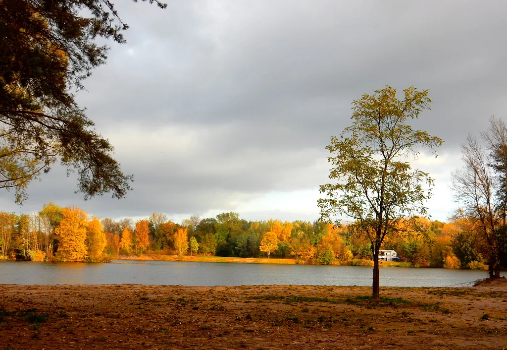 Photo showing: Podzimní ráno na Jezeře Sadská. Pohled od obce Sadská.
