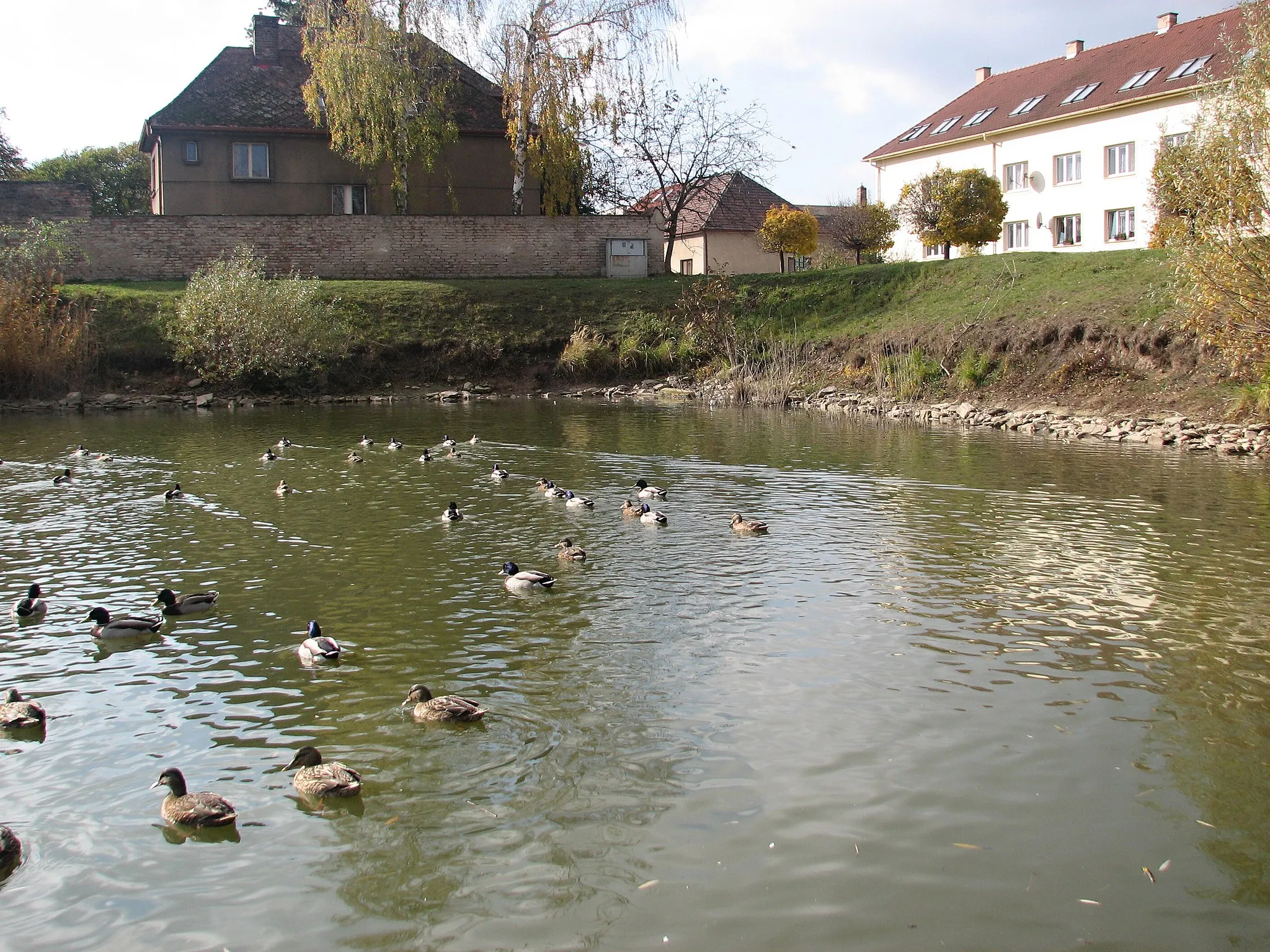 Zdjęcie: Střední Čechy