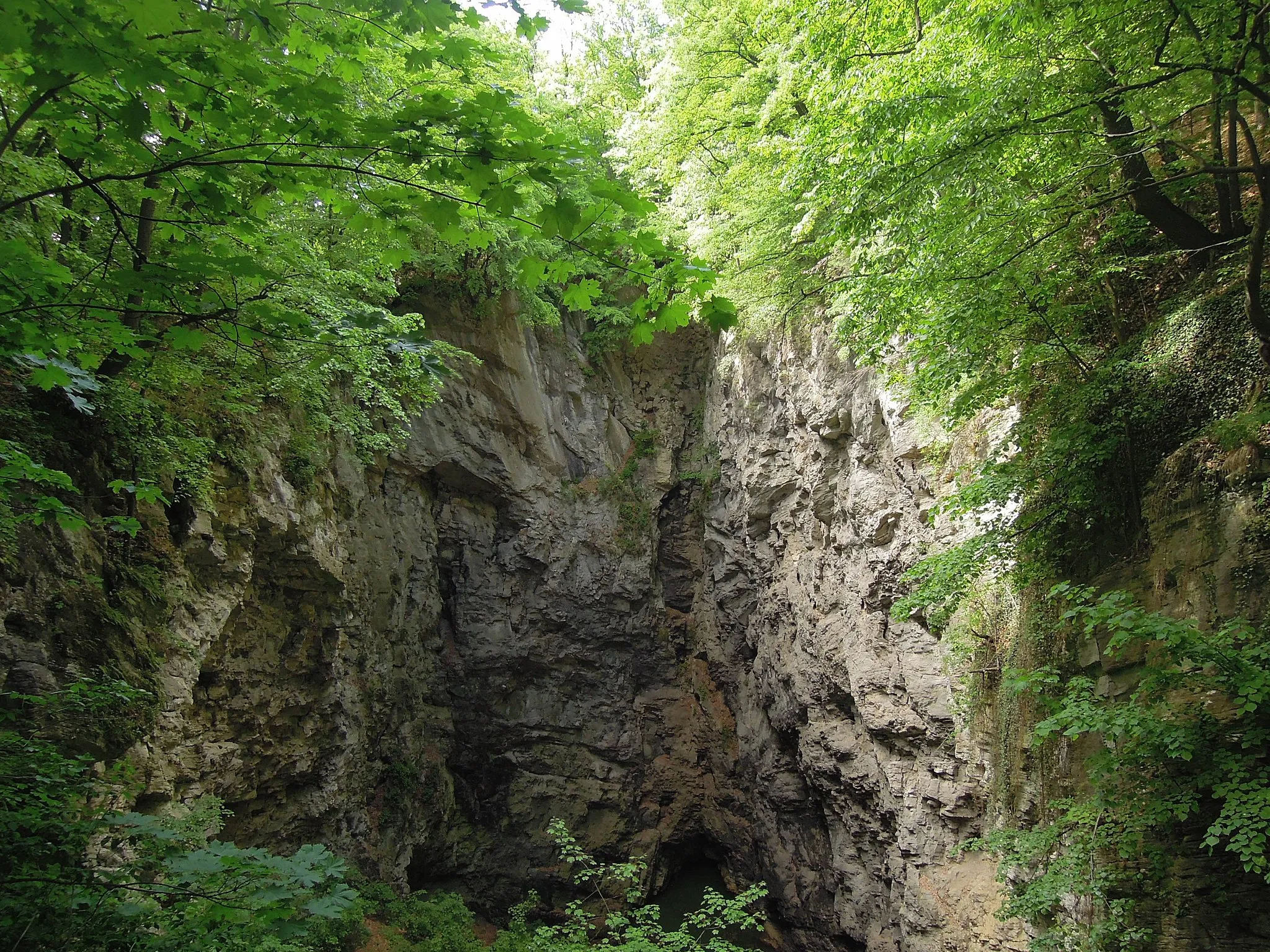 Photo showing: National nature reserve Hůrka u Hranic near Hranice, Přerov District, Oloumouc Region, Czech Republic