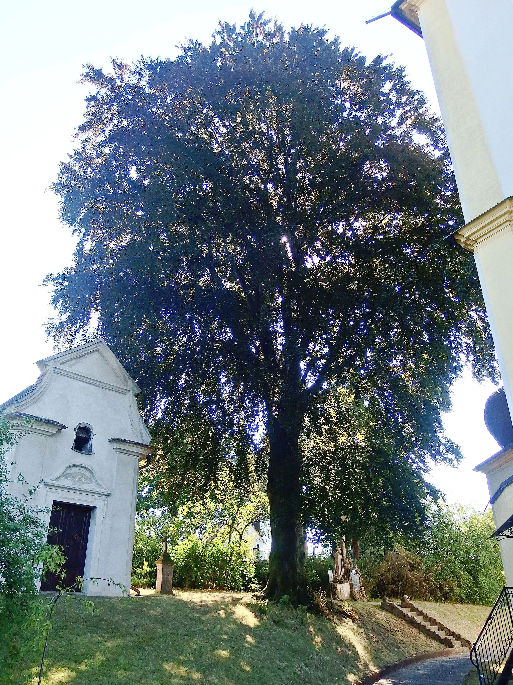 Photo showing: Lešná, Vsetín District, Czech Republic.