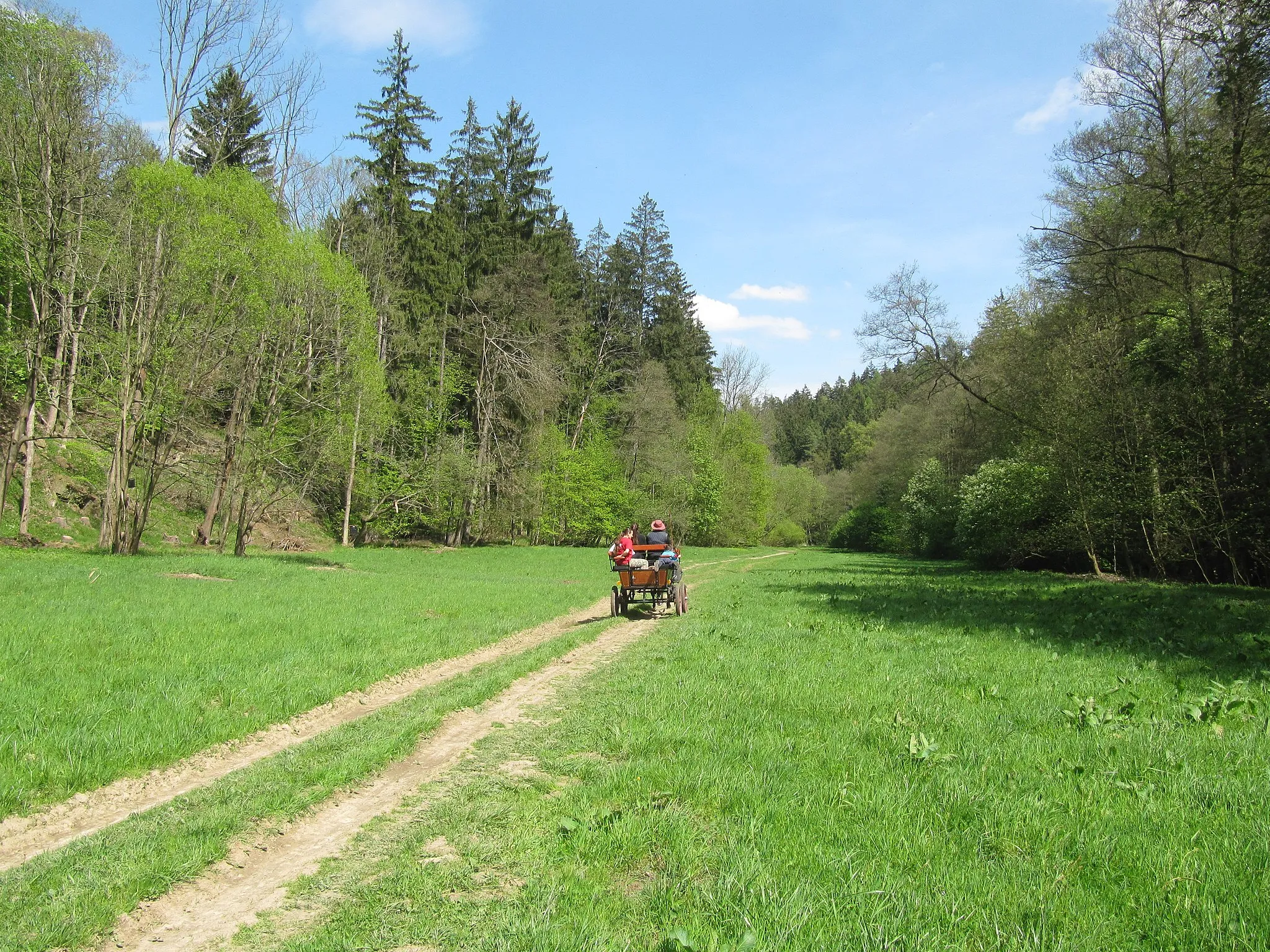 Photo showing: Terezské údolí, nature reserve in Prostějov and Olomouc Districts, Czech Republic.