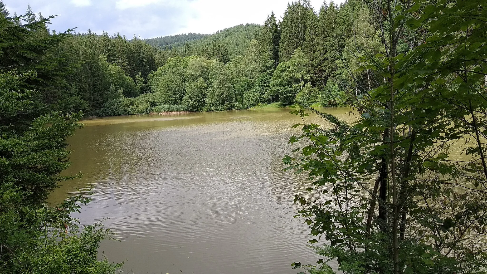 Photo showing: Karlovské jezero ve Velkých Karlovicích