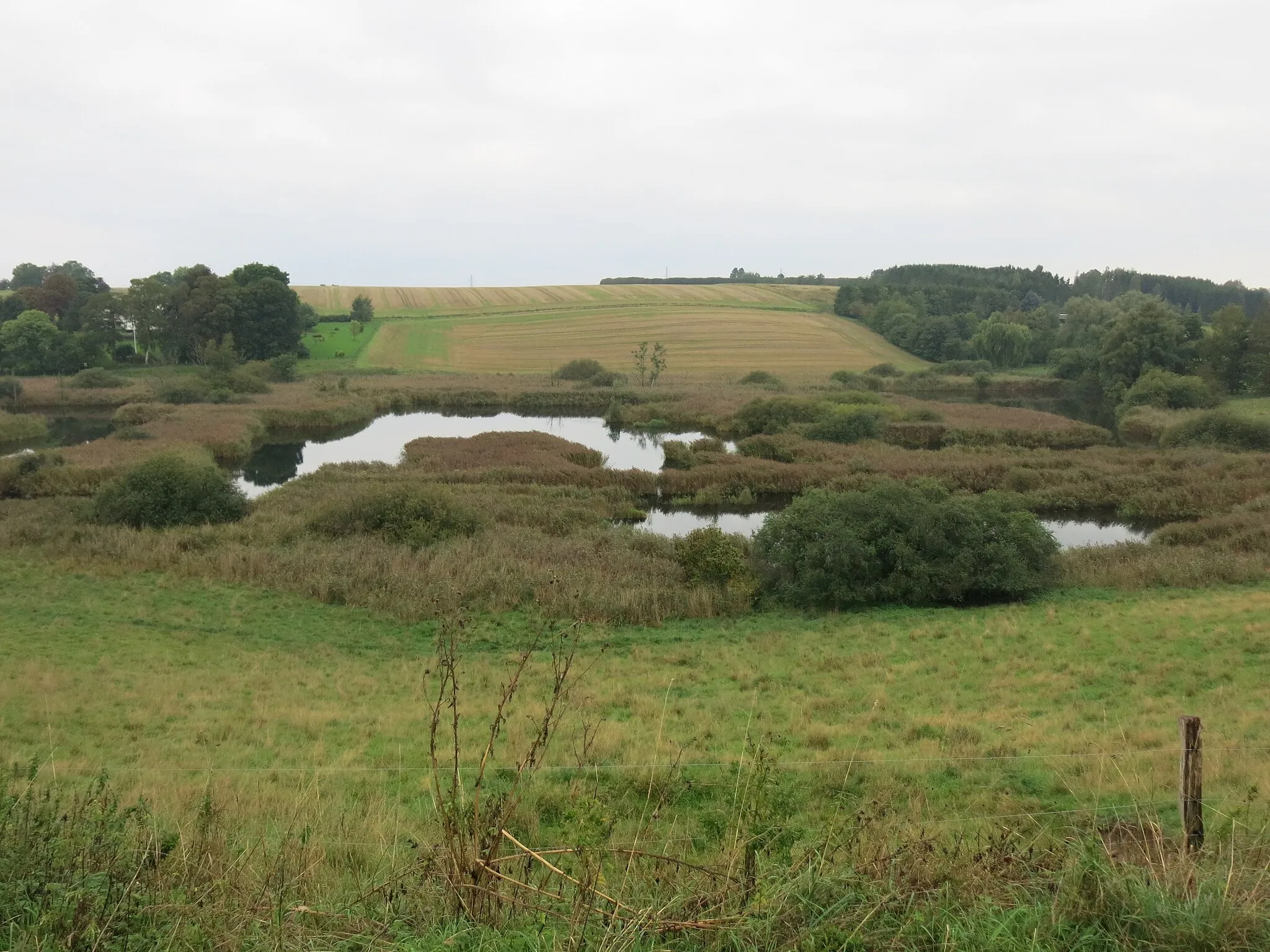 Photo showing: View of Brøns Mose from the north-east conor of the marsh.