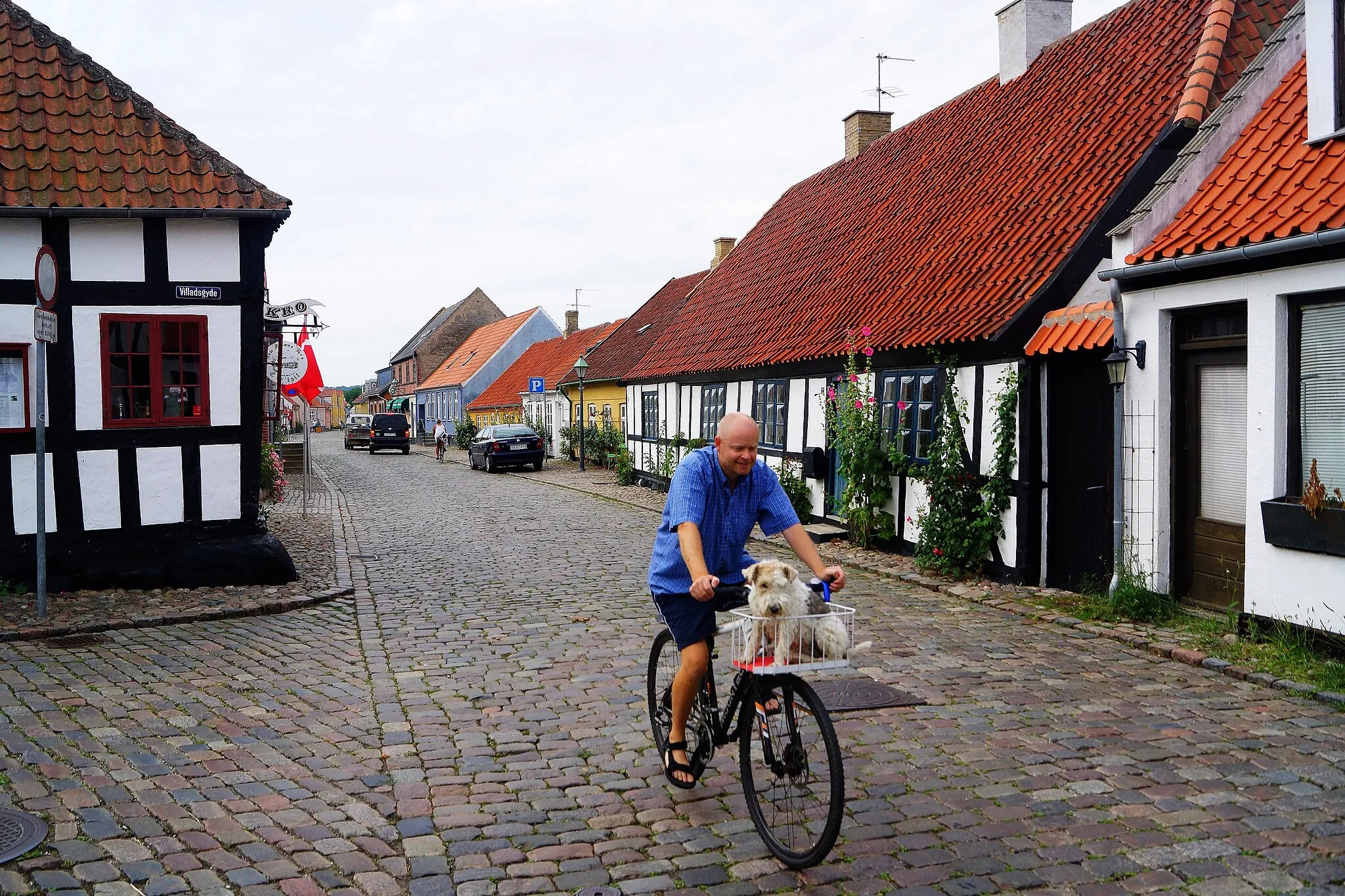 Photo showing: Ebeltoft, cykelhund