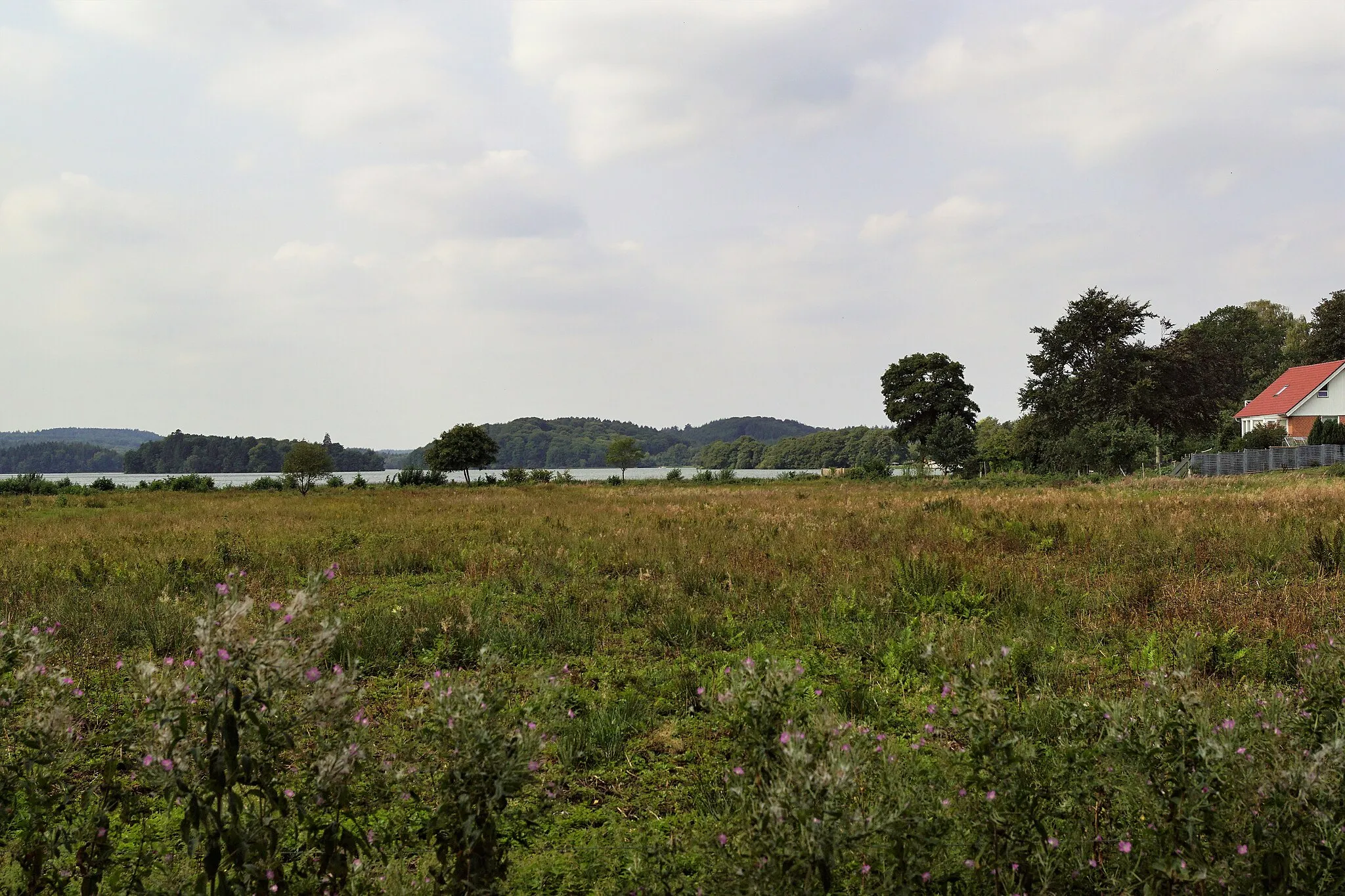 Photo showing: Borresø set fra Holten lidt øst for hvor maleren Peter Mønsted stod da han malede