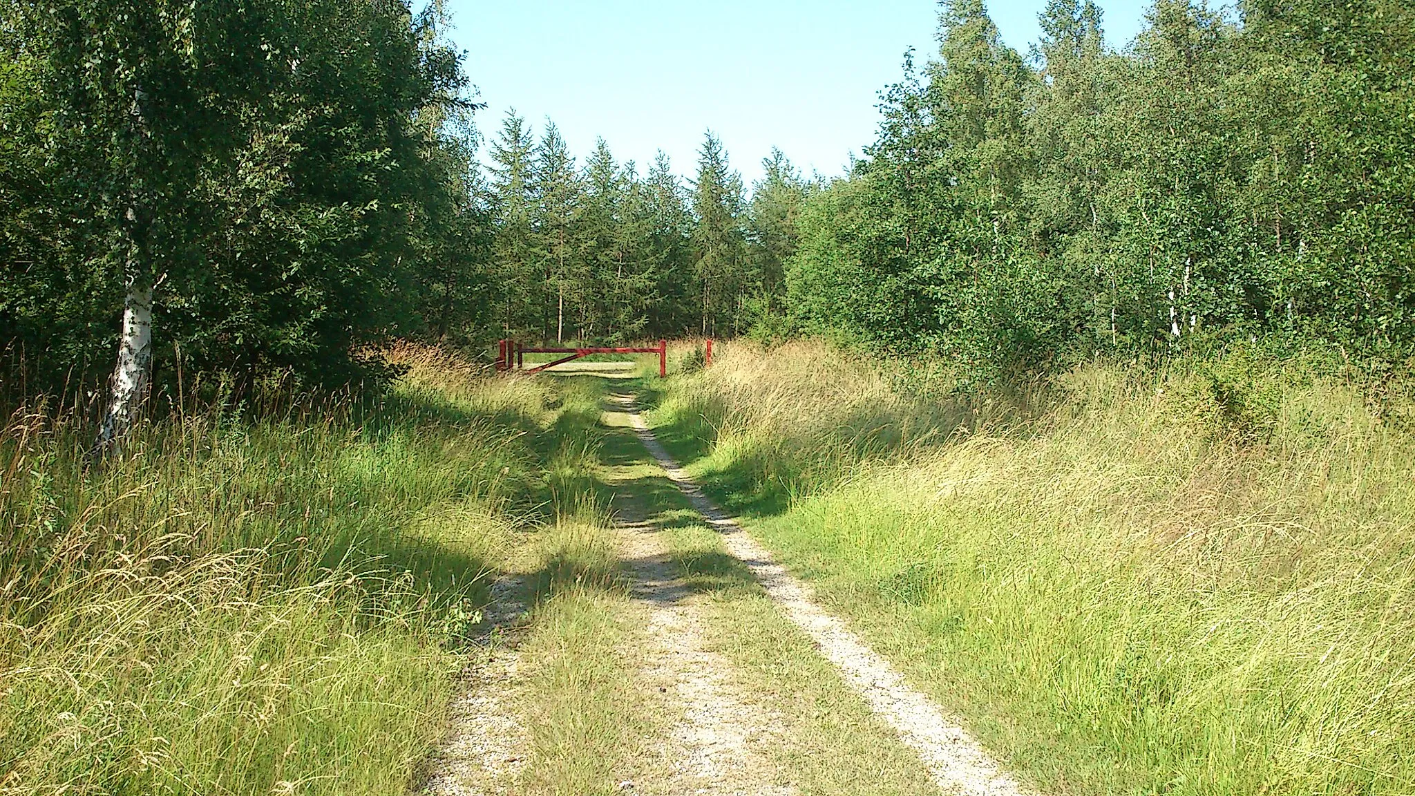 Photo showing: Bærmoseskov.