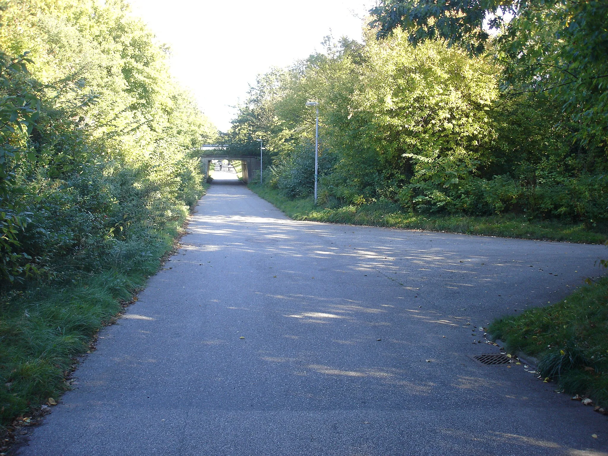 Photo showing: Stien på Aalborg-Hadsund-banens tracé går under vejen Træet i Gistrup