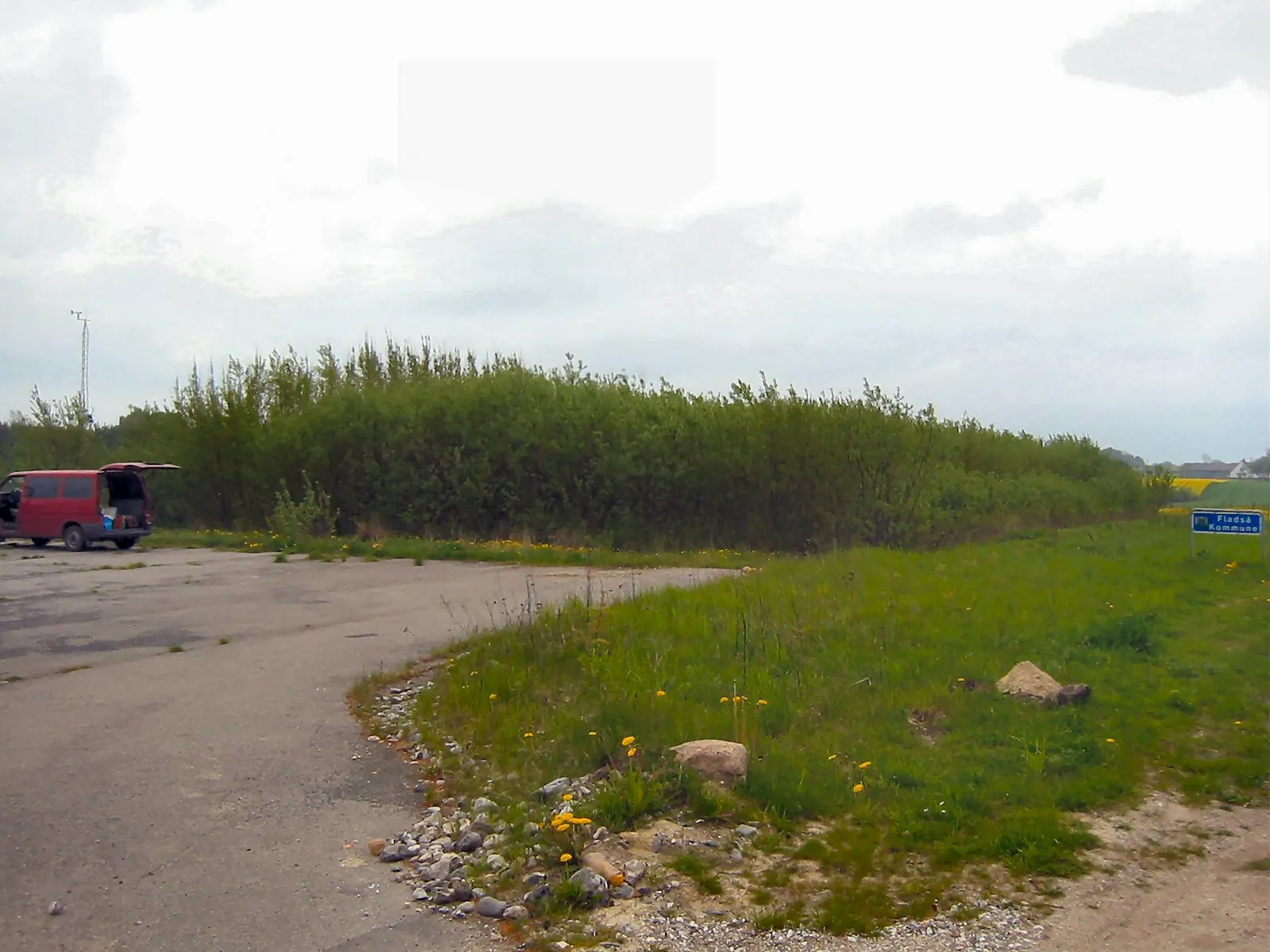 Photo showing: Phytoremediation of a former gas-station in Rønnede, Denmark using different species of Salix.