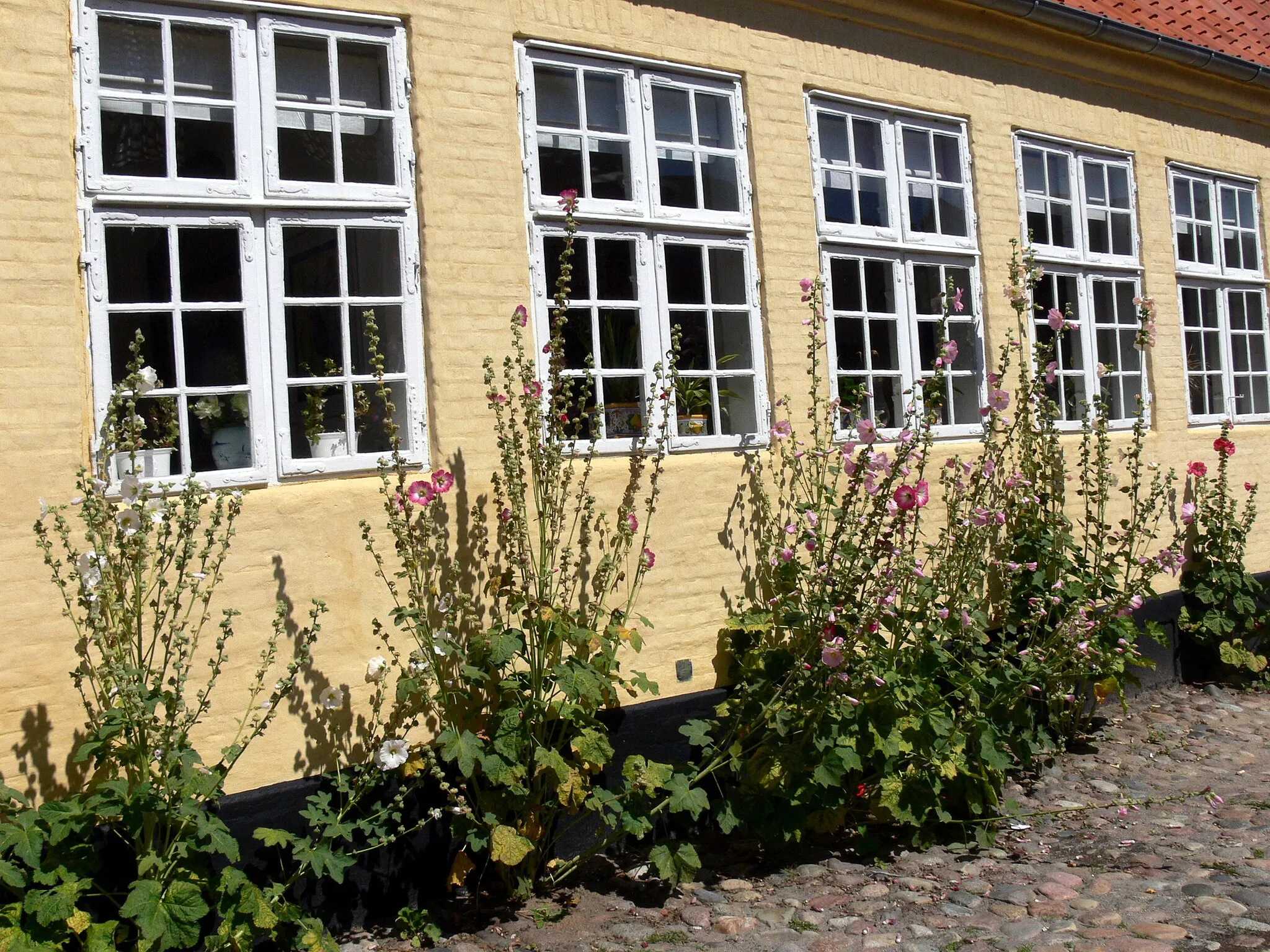 Photo showing: Stubbekøbing ( Falster ). House at the main street.