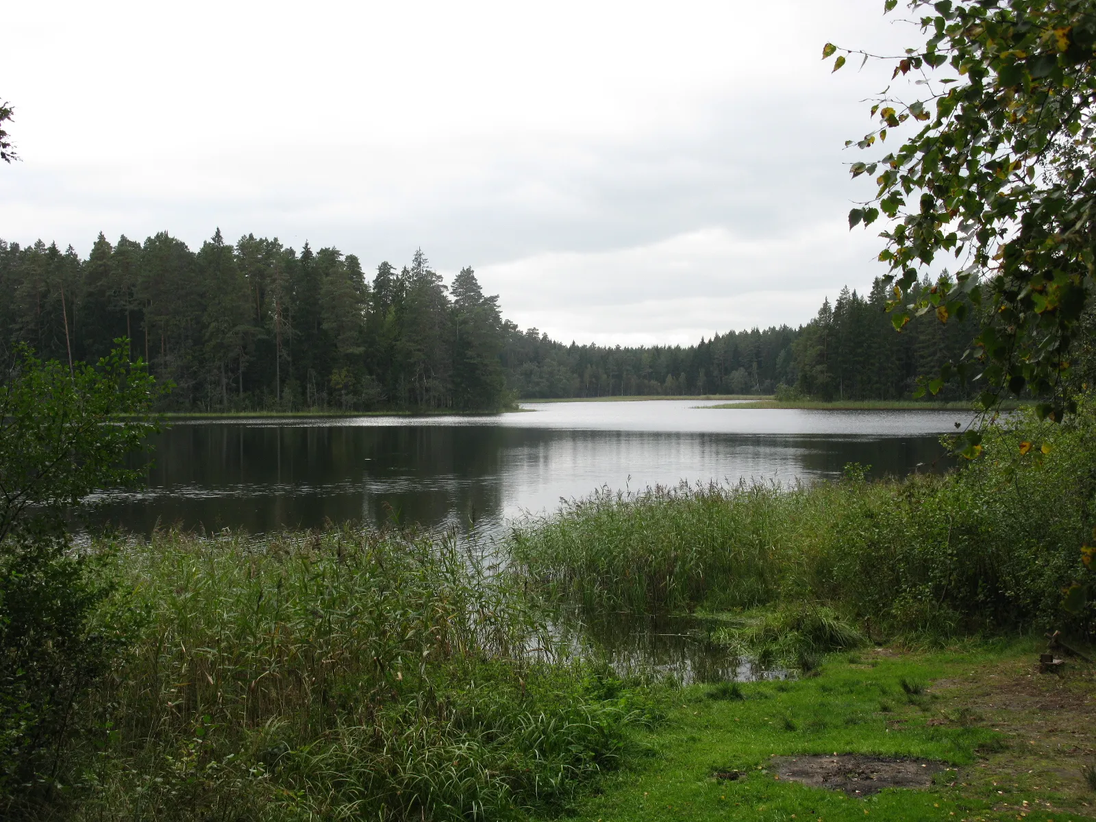 Photo showing: The picture of Lake Kõvverjärv, located in Estonia.