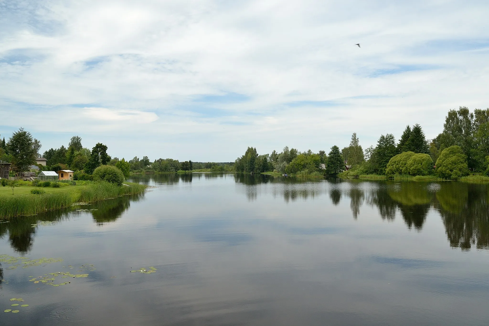 Photo showing: Lake Räpina on Võhandu river